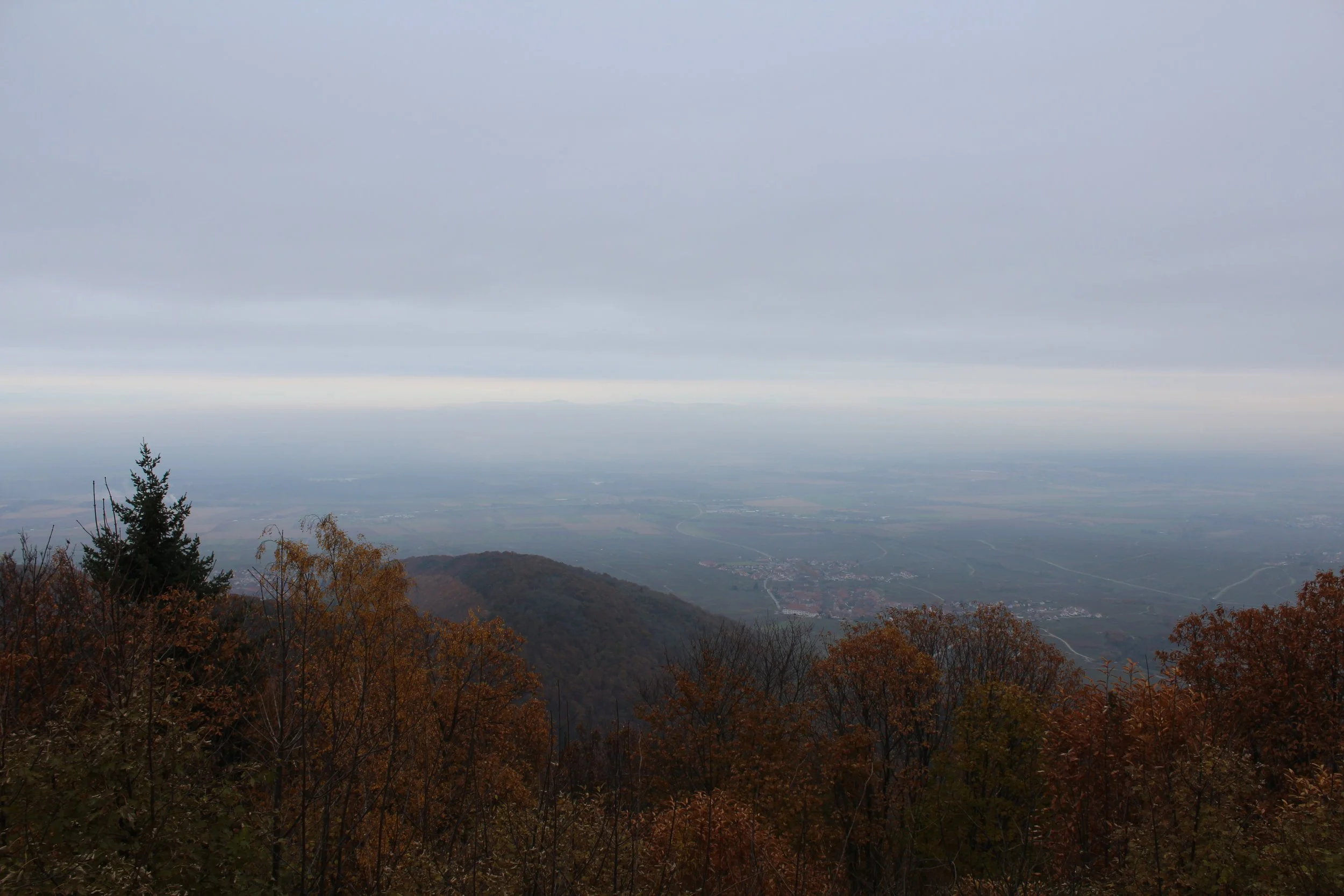 IMG_2464.JPG