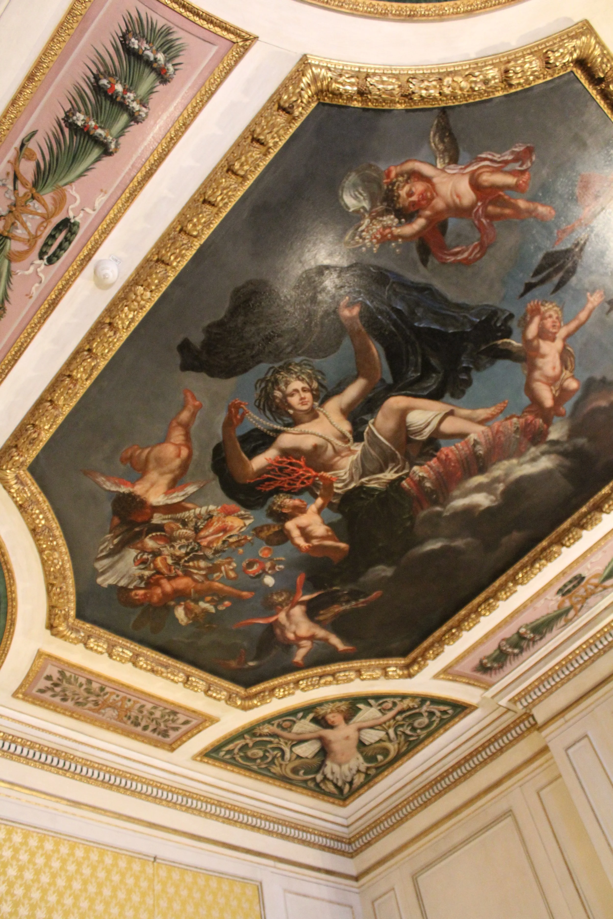 IMG_4354.JPG