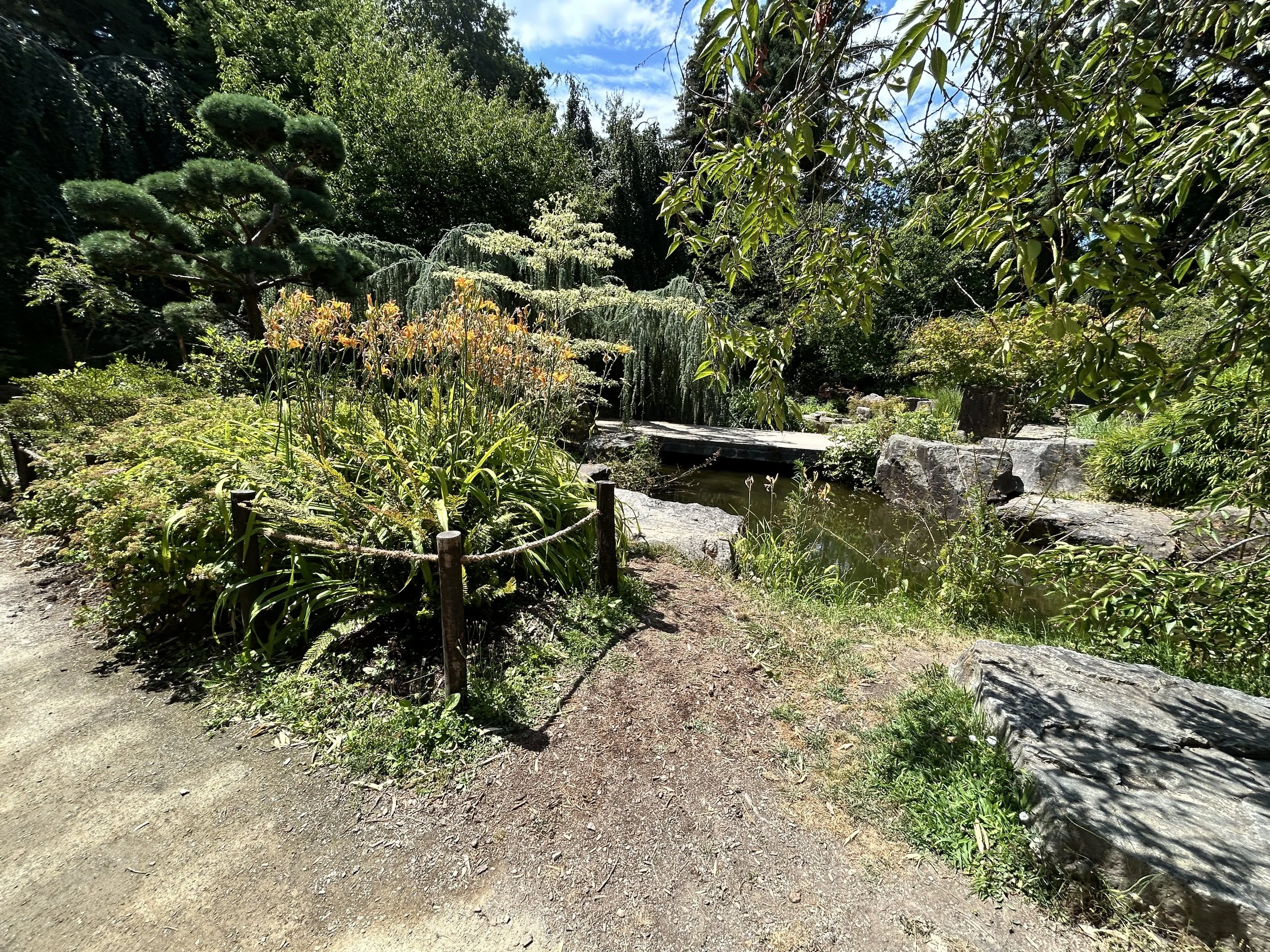 20260709_105026269_iOS.jpg