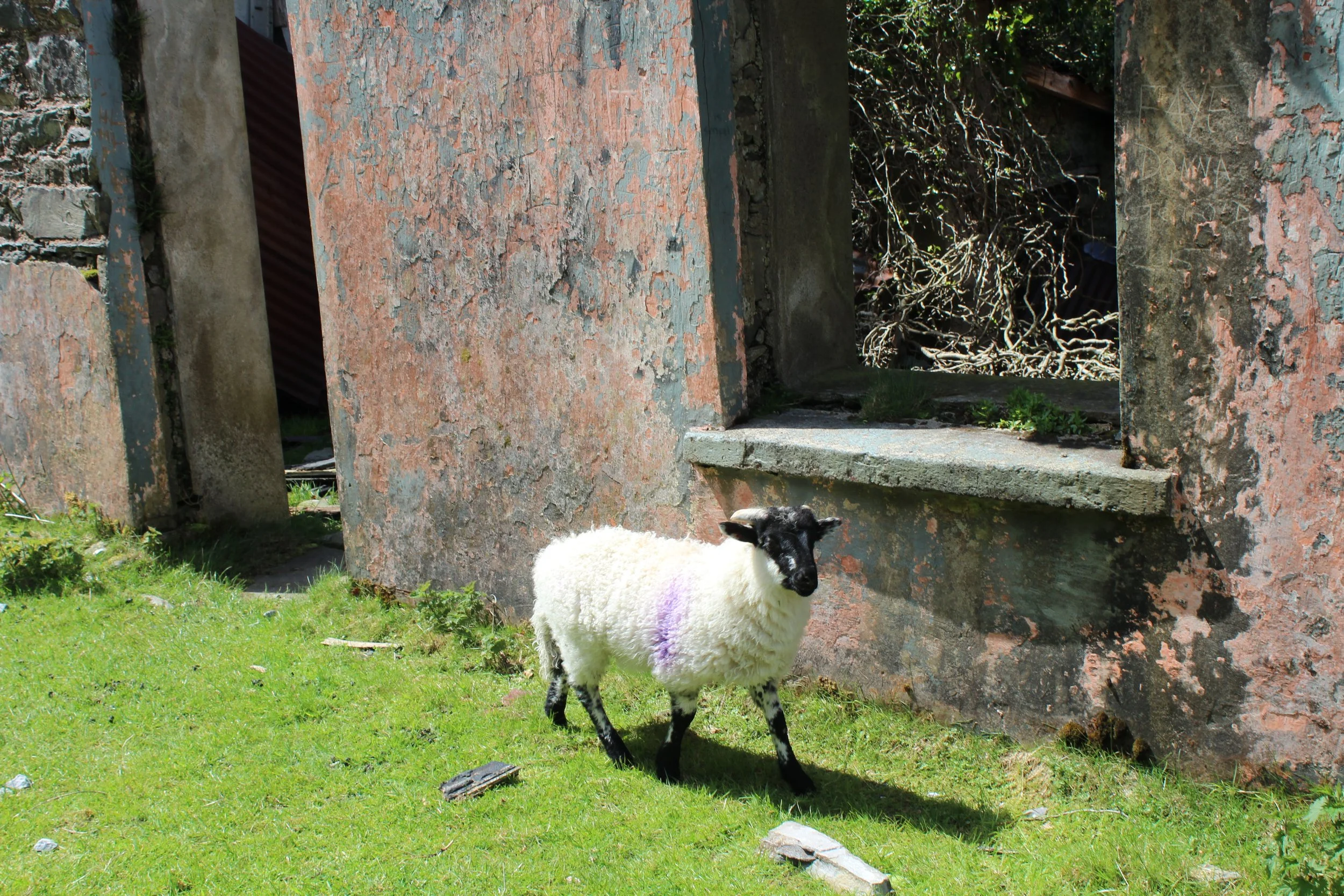 15-0519_Gap of Dunloe_50.JPG