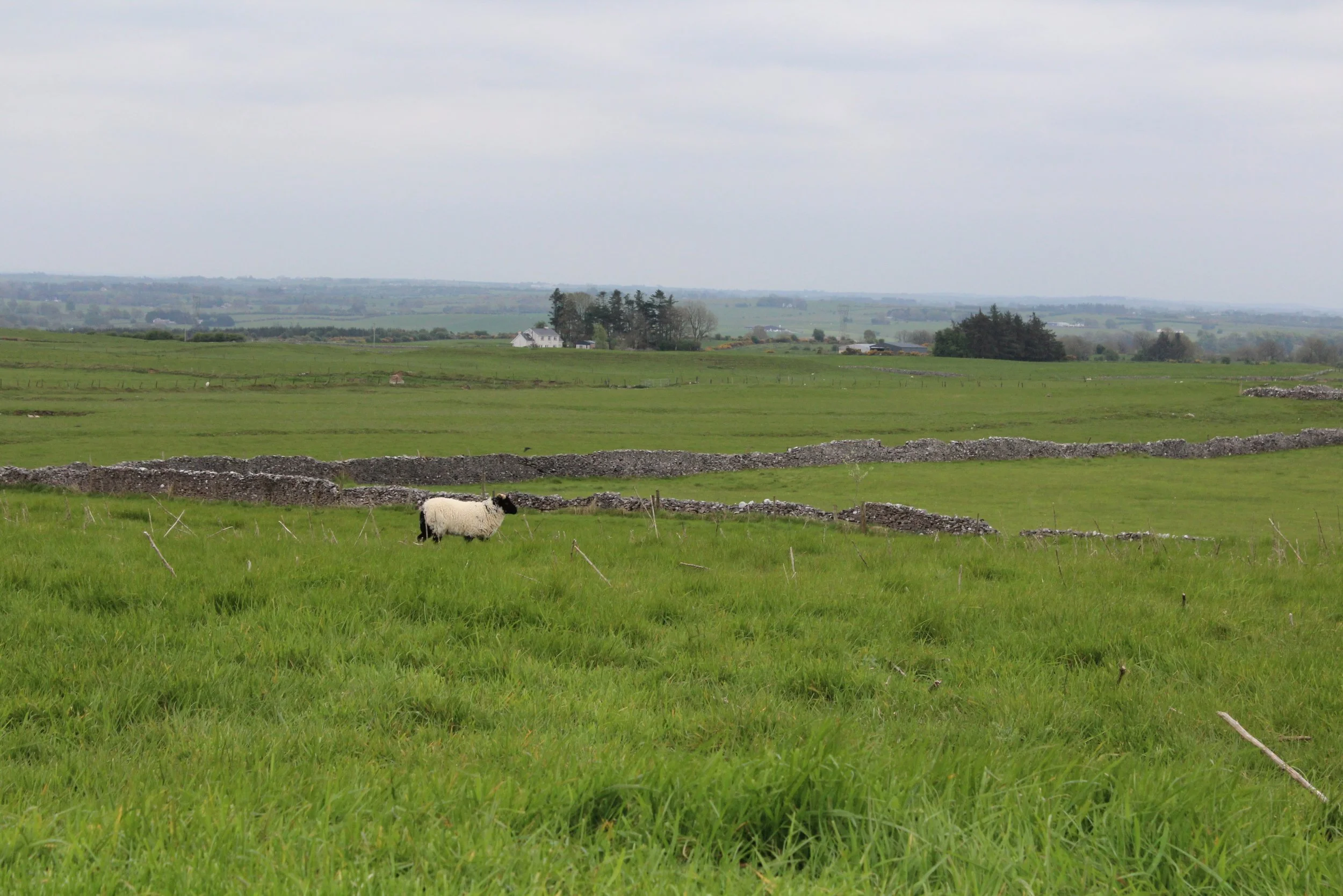 15-0514_Rathcroghan-42.JPG