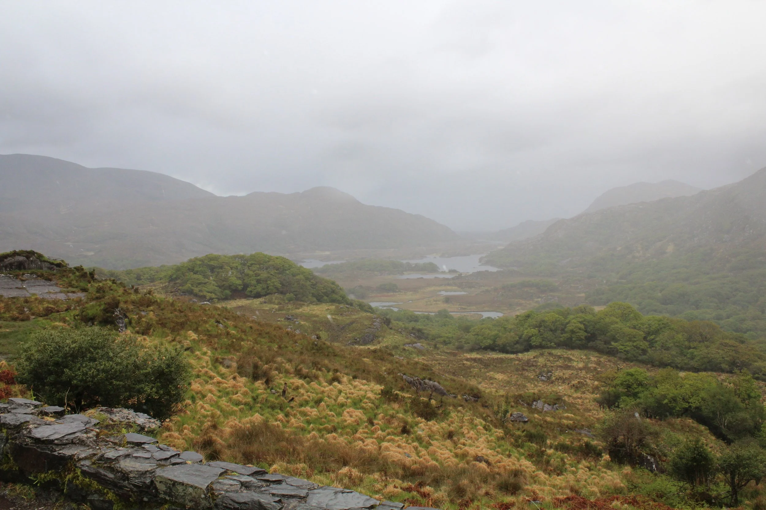 15-0518_Kenmare-3.JPG