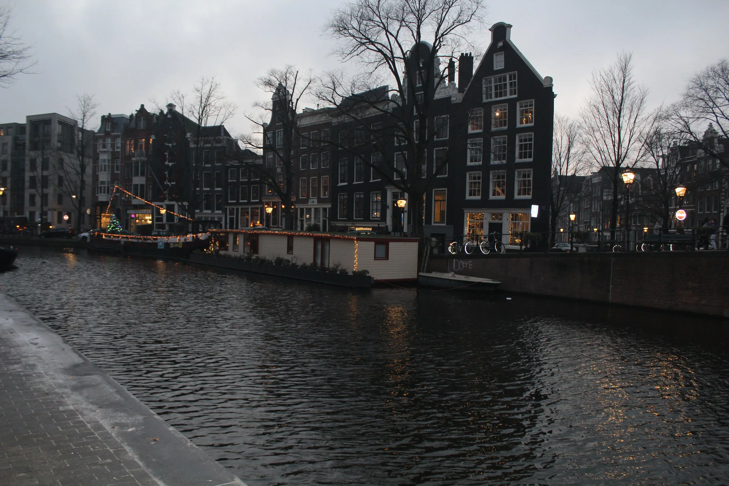 IMG_3514.JPG