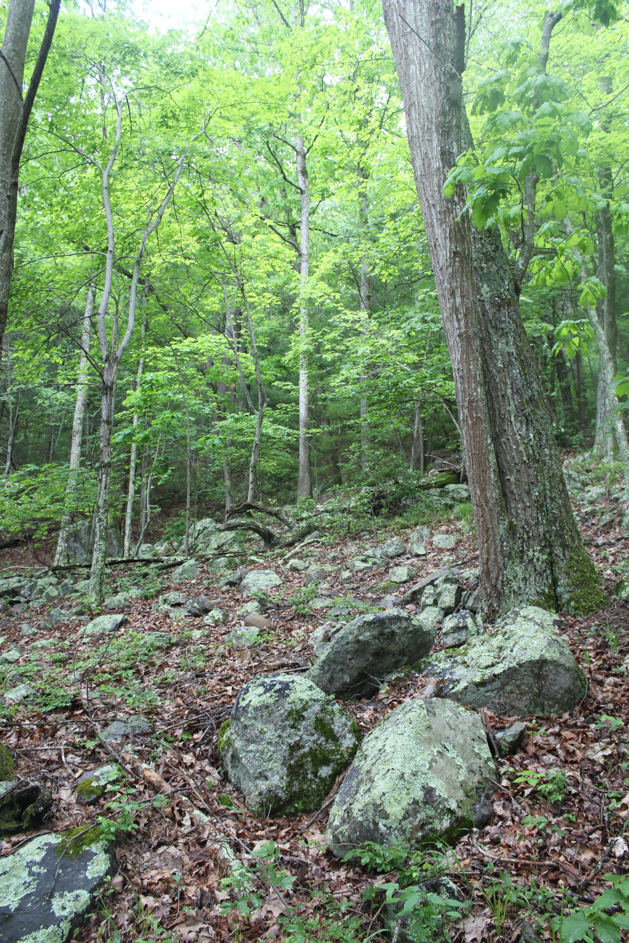 IMG_1758.JPG