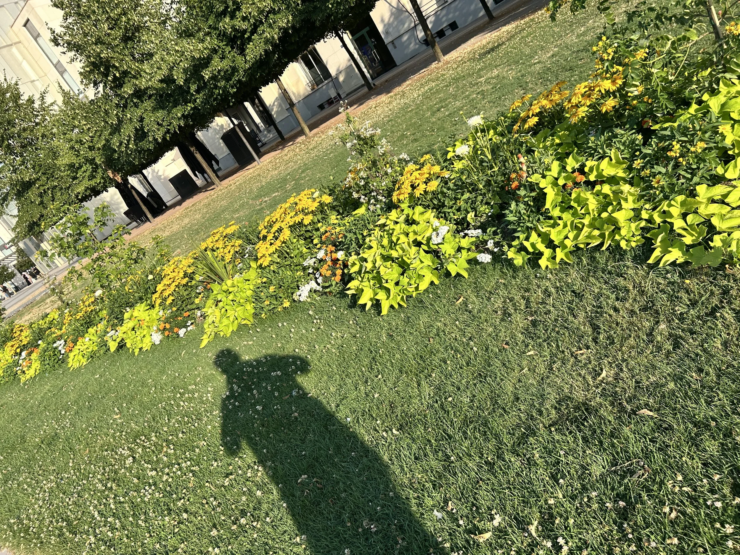 20260712_175407760_iOS.jpg