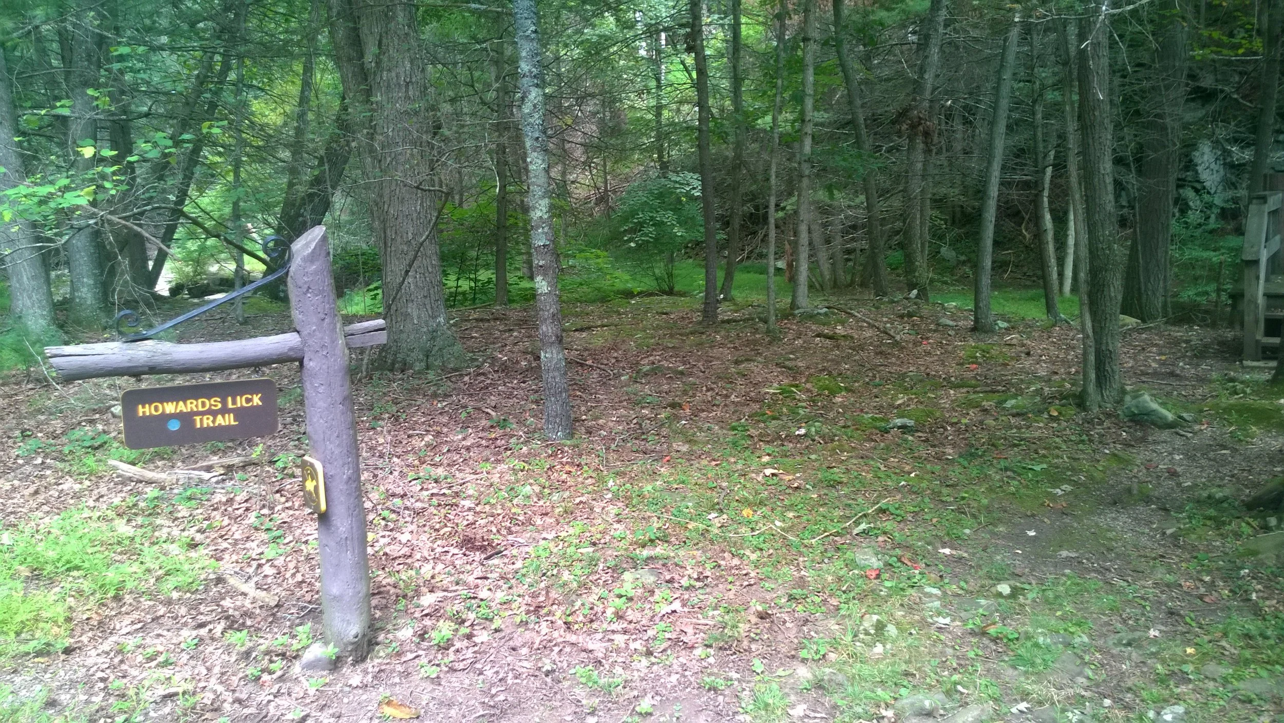 WP_20140830_12_32_29_Pro.jpg