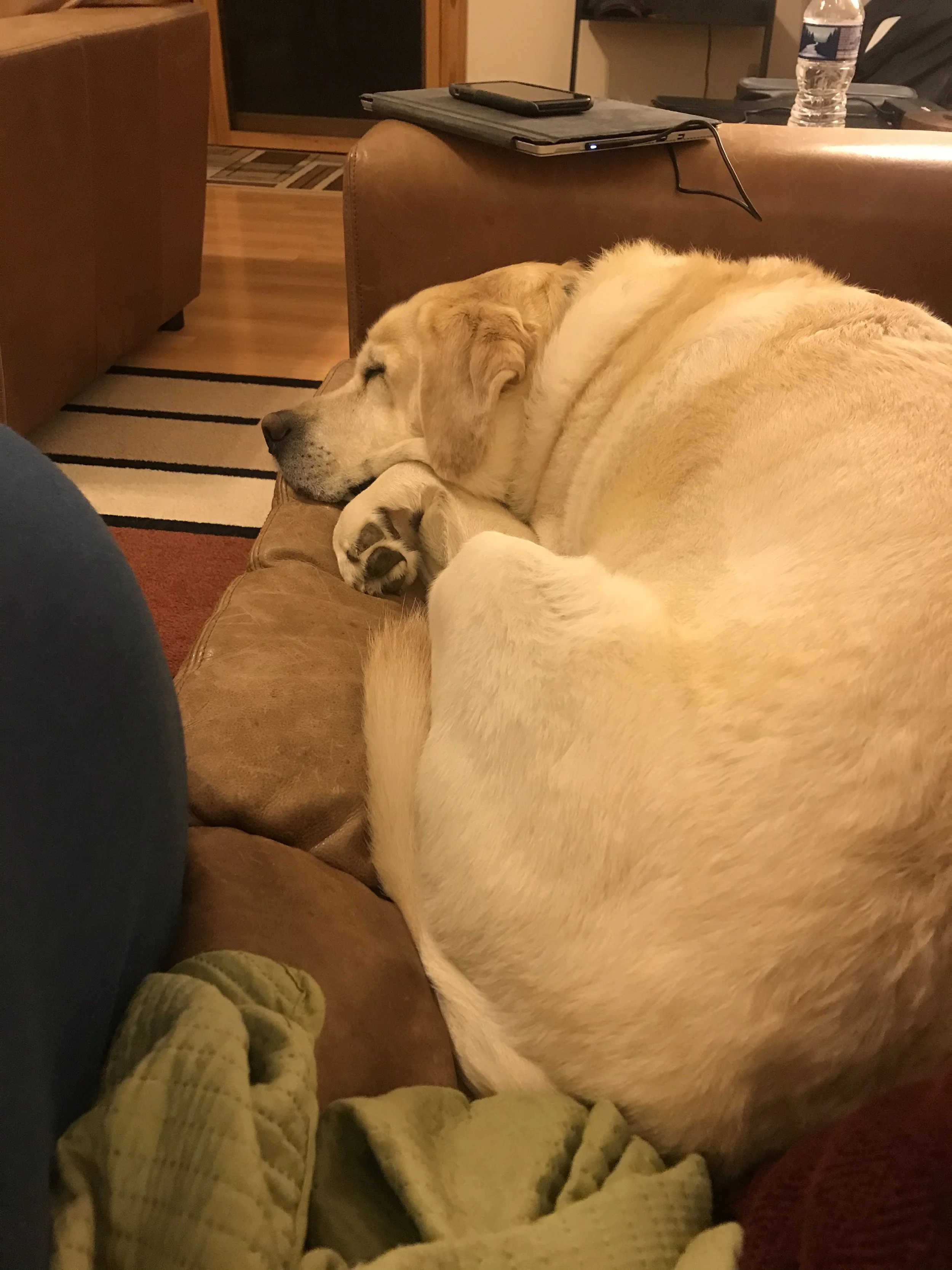 20200703_014254908_iOS.jpg