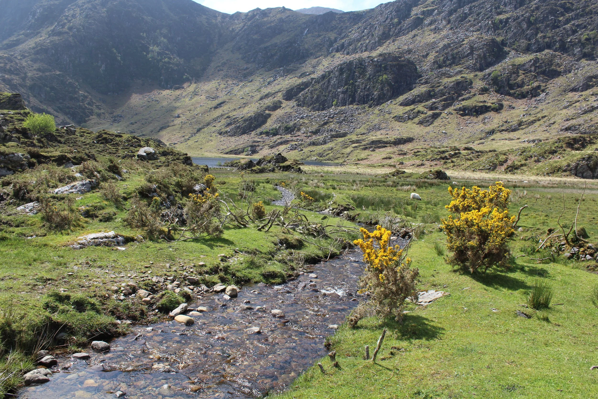 15-0519_Gap of Dunloe_35.JPG
