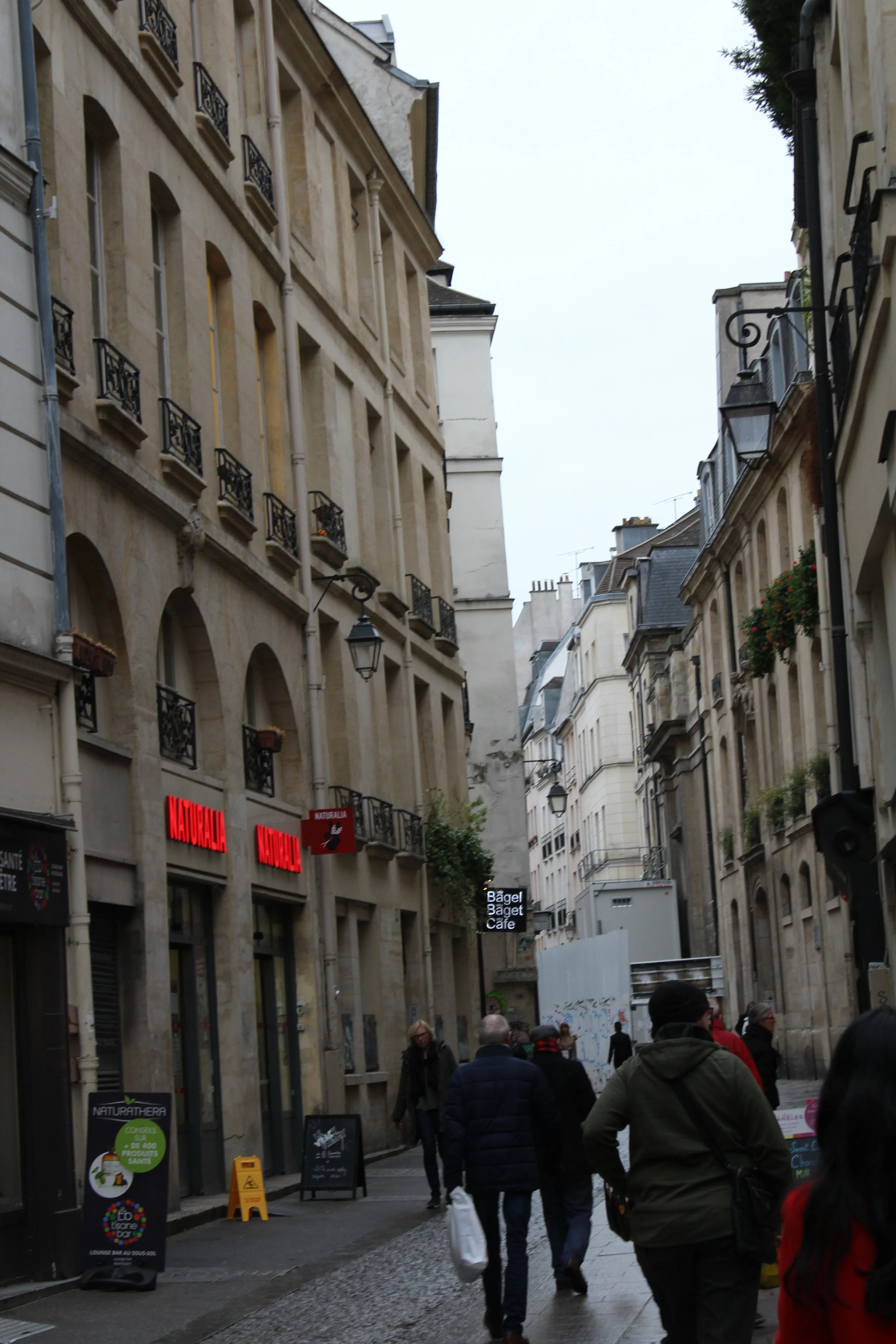 IMG_2599.JPG