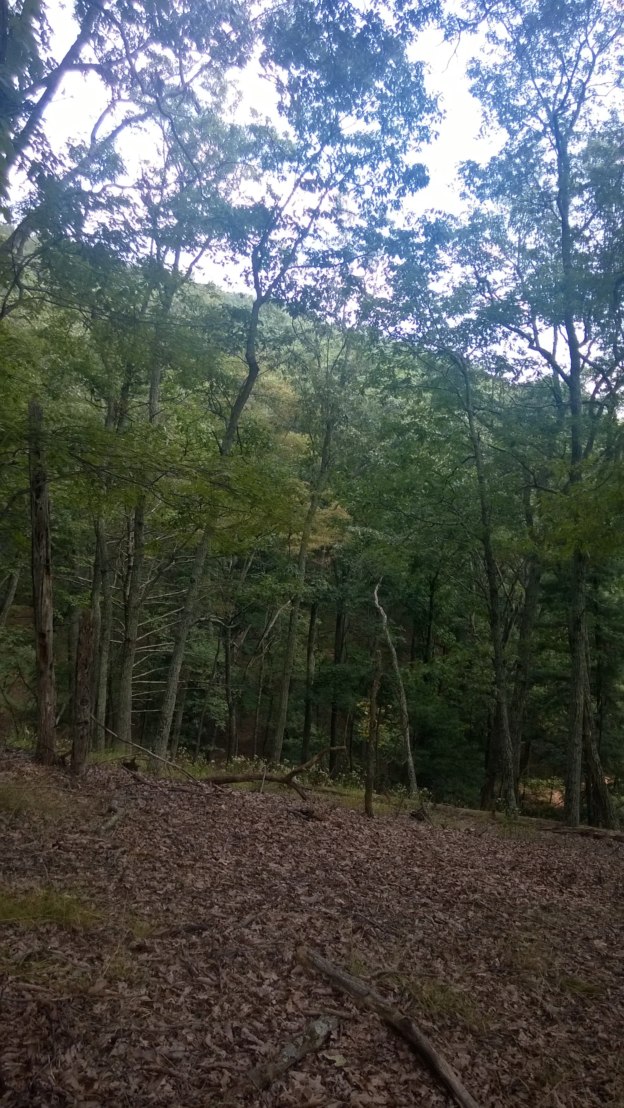 WP_20140830_14_04_50_Pro.jpg
