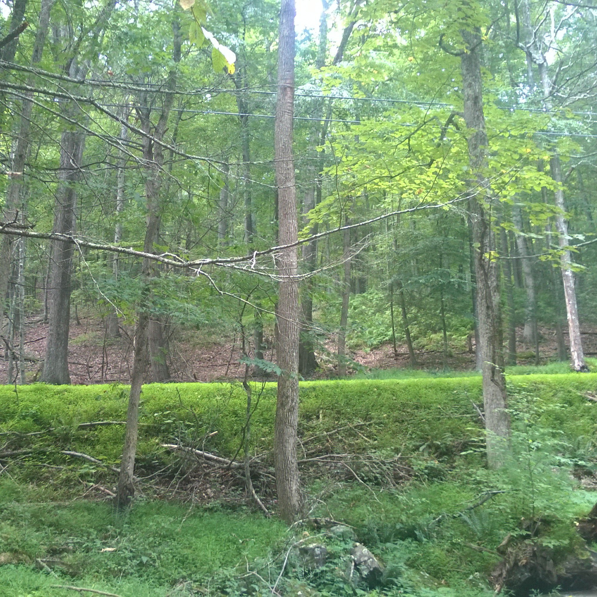 6tag_310814-101532.jpg