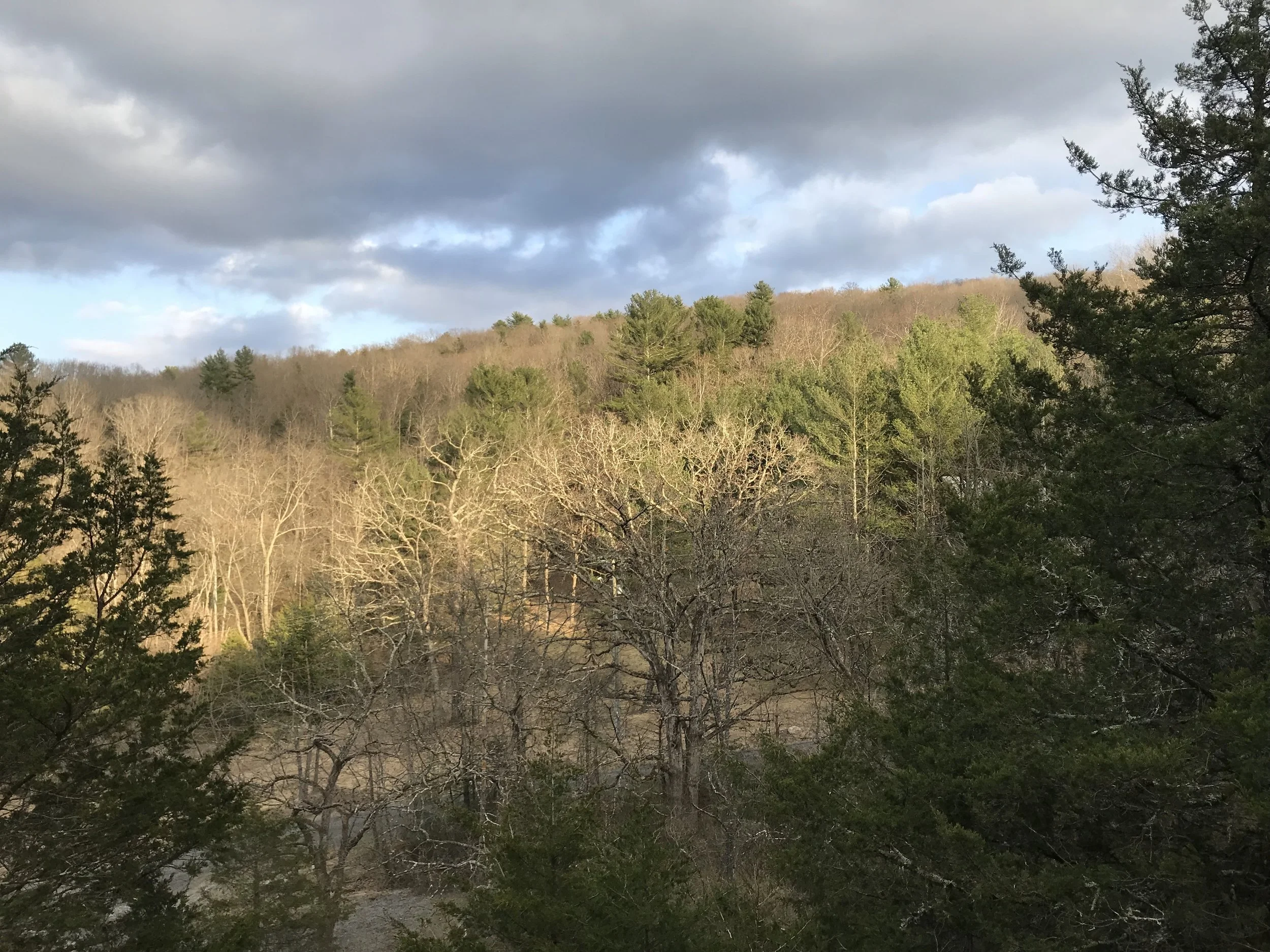 20190406_222355388_iOS.jpg