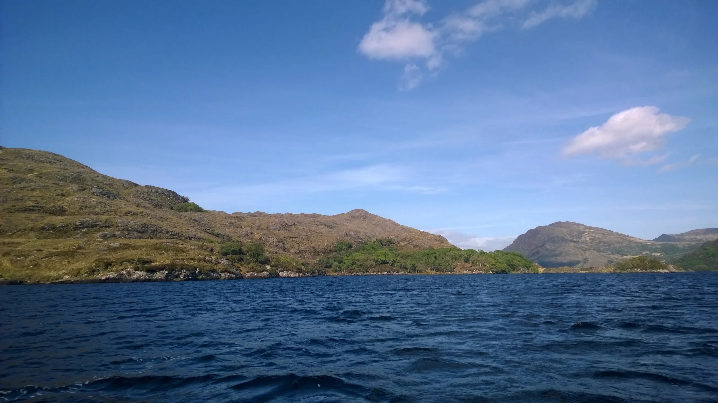 BCROGS - WP_20150520_007.jpg