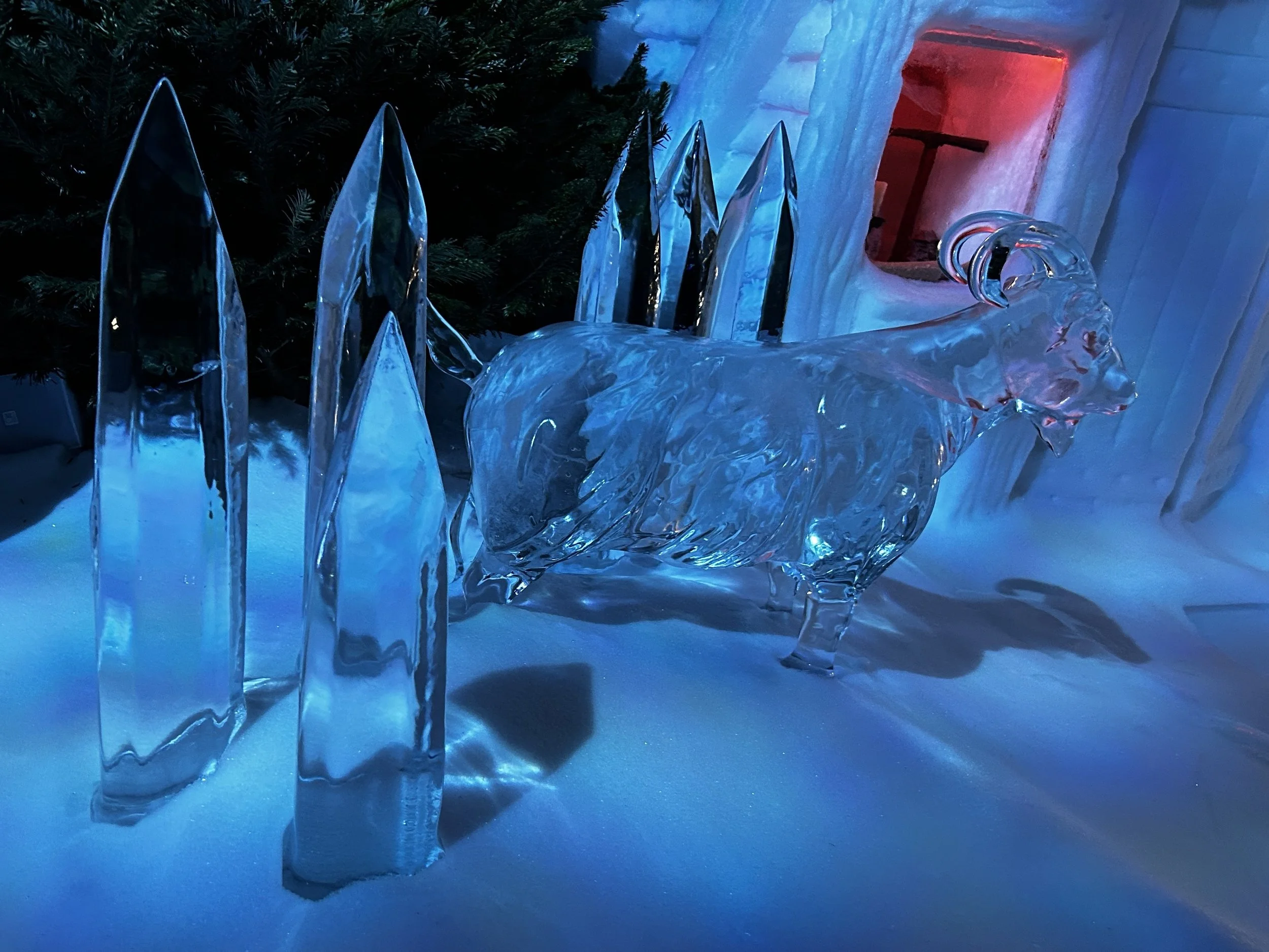 Winter Wonderland