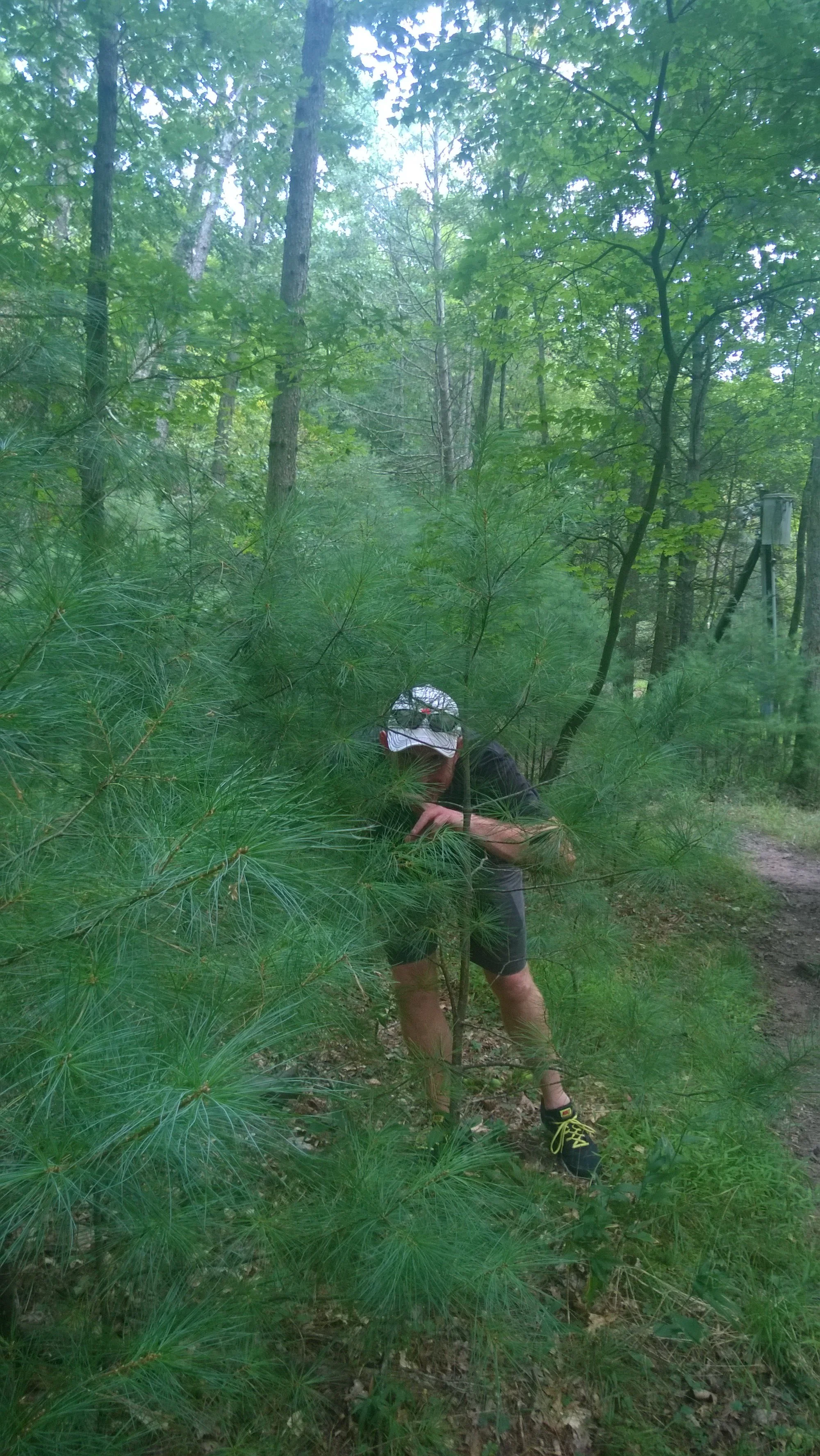 Lost River WV-Over the Years