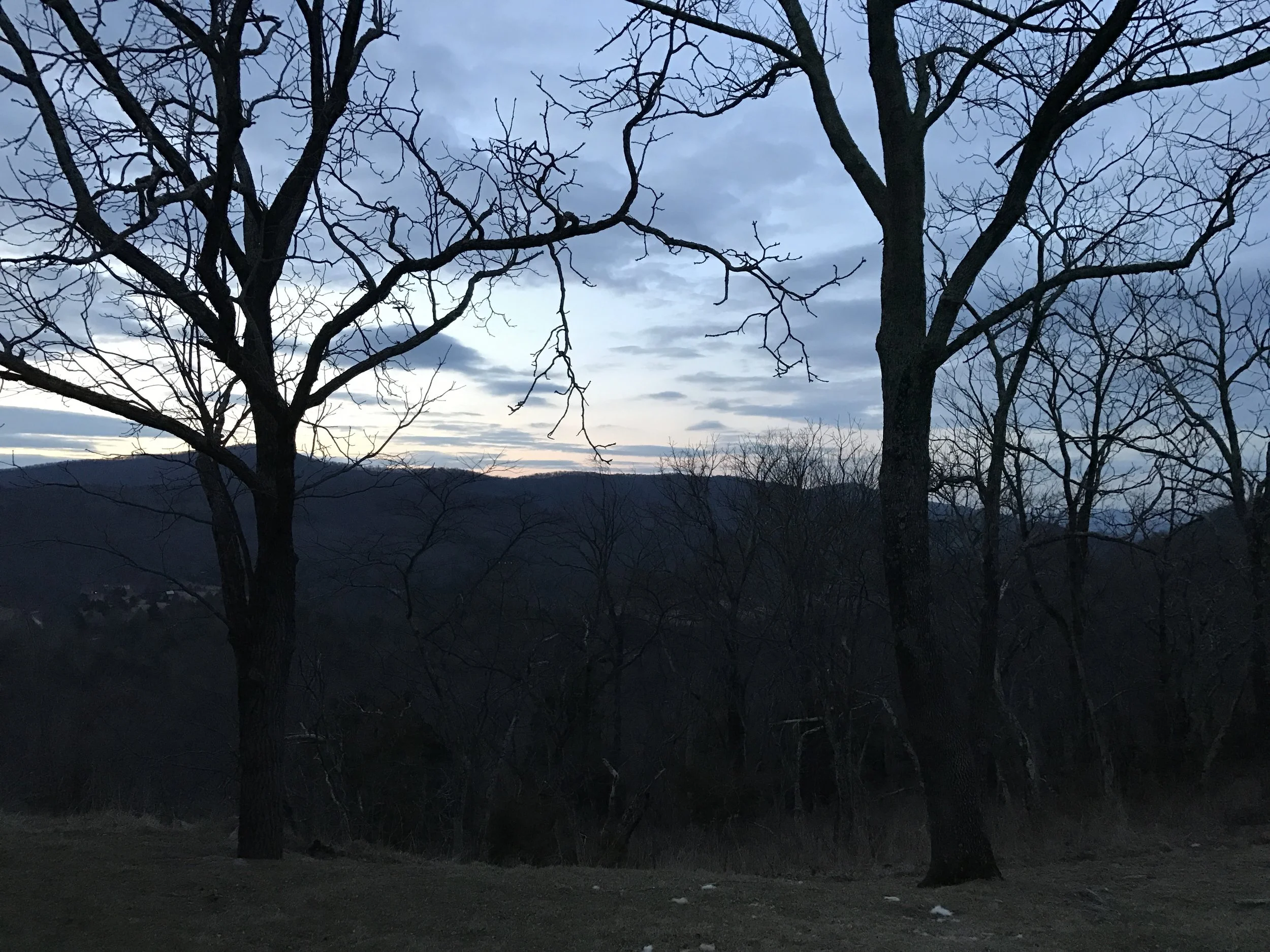 20170205_120243541_iOS.jpg