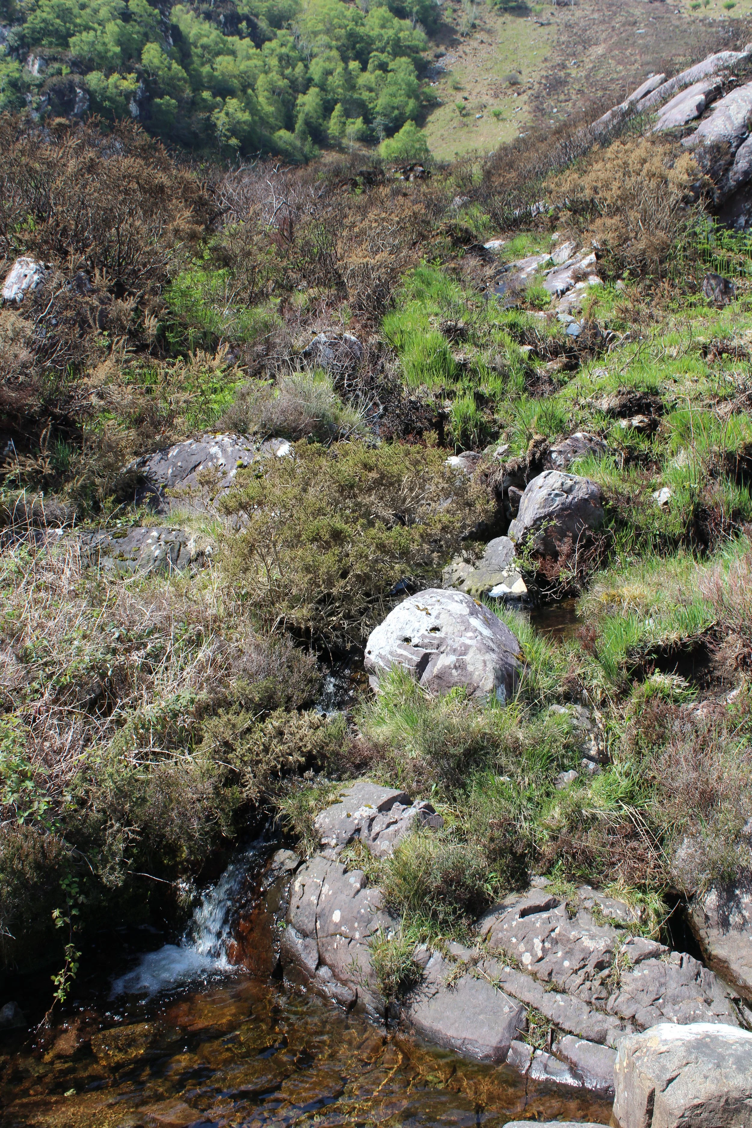 15-0519_Gap of Dunloe_8.JPG