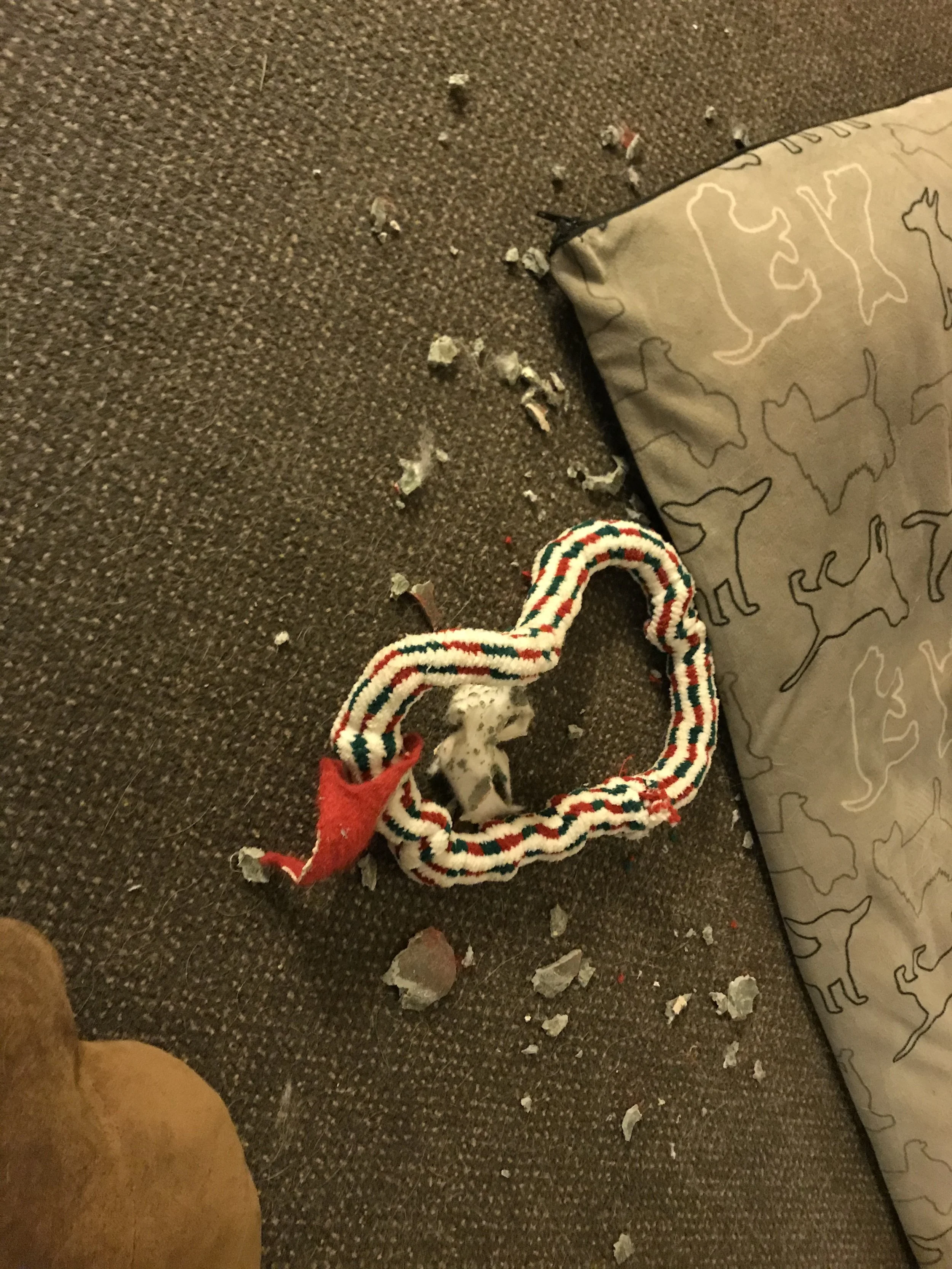 20191116_025123325_iOS.jpg