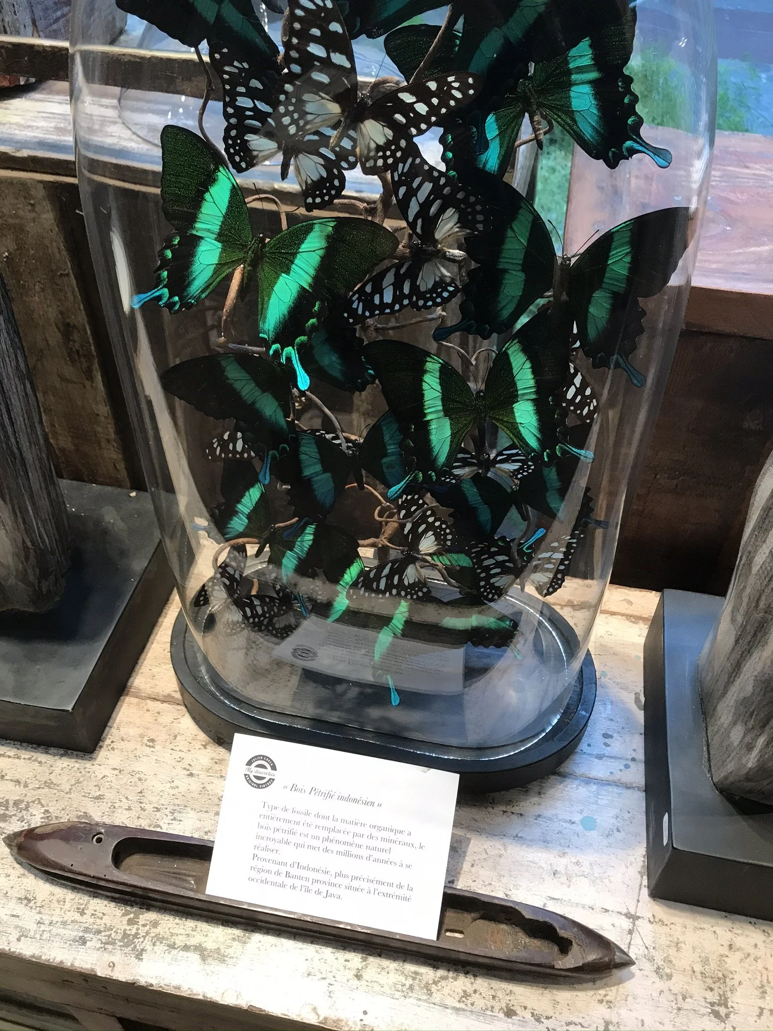 IMG_3298.JPEG