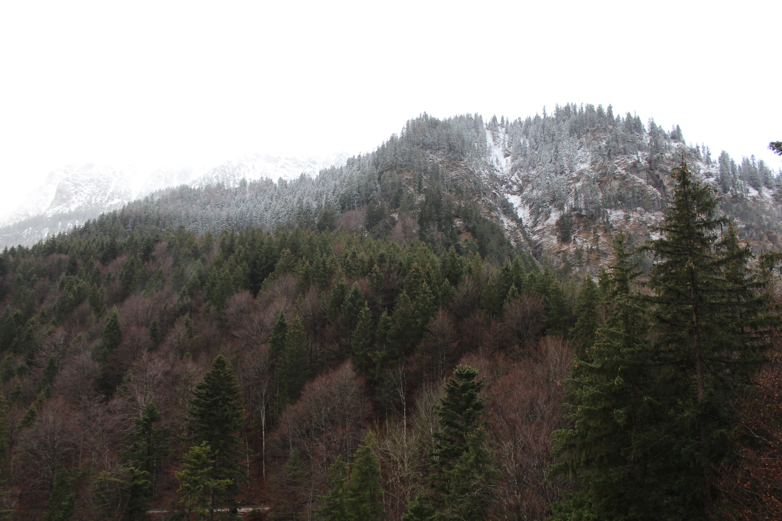 IMG_4108.JPG