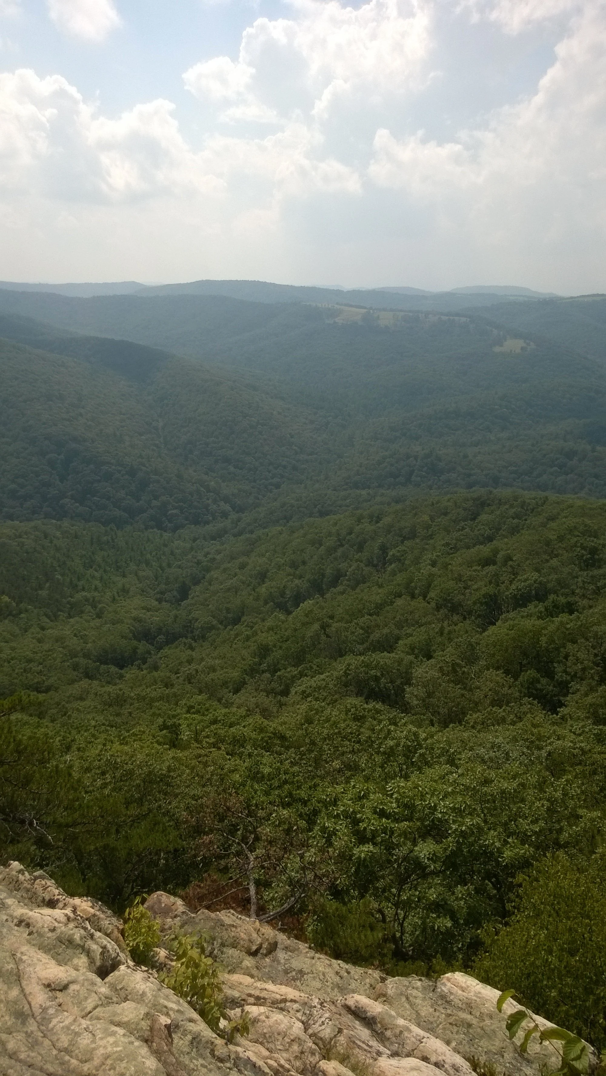 WP_20140830_14_45_13_Pro.jpg