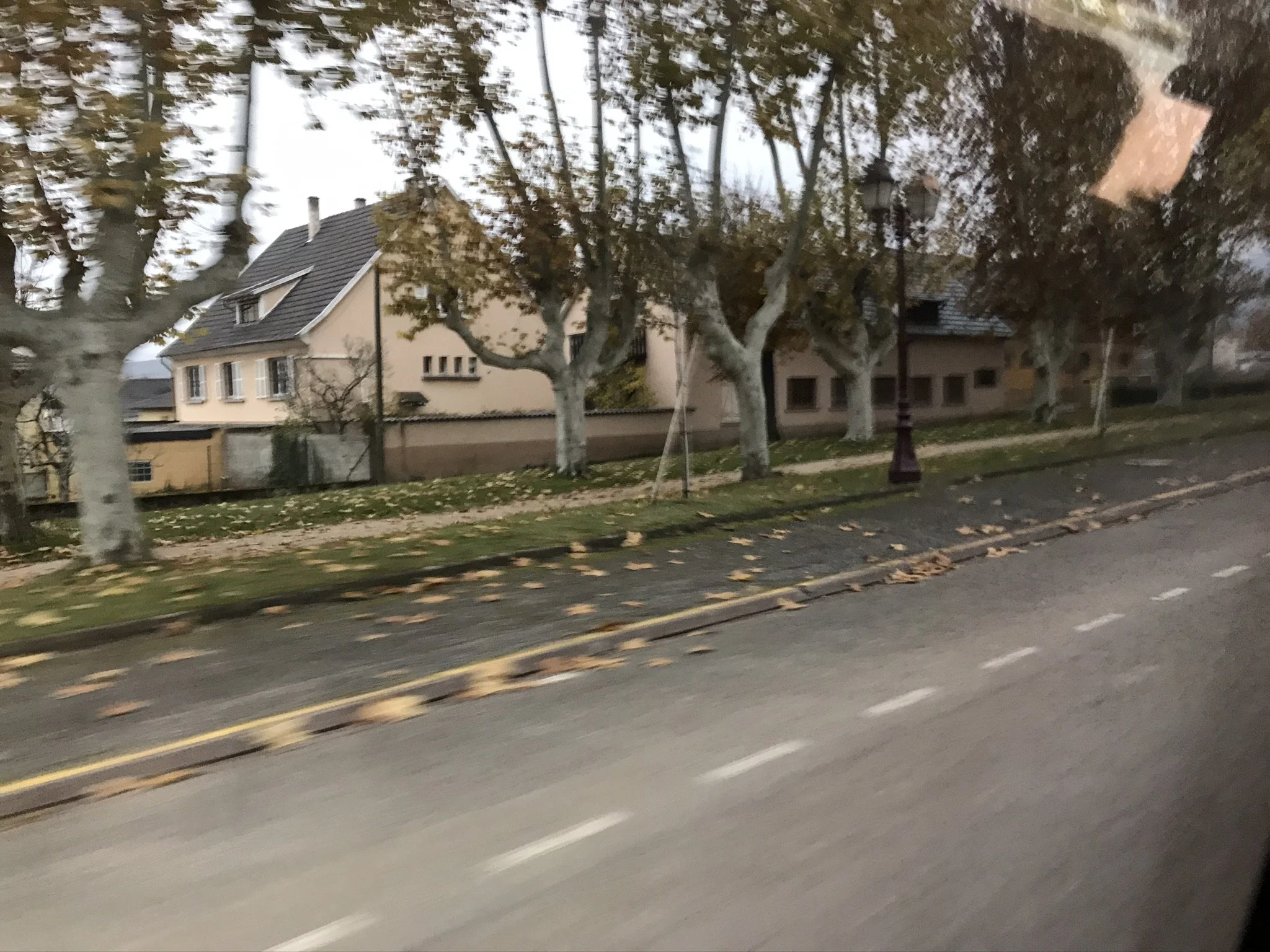 IMG_3023.JPEG