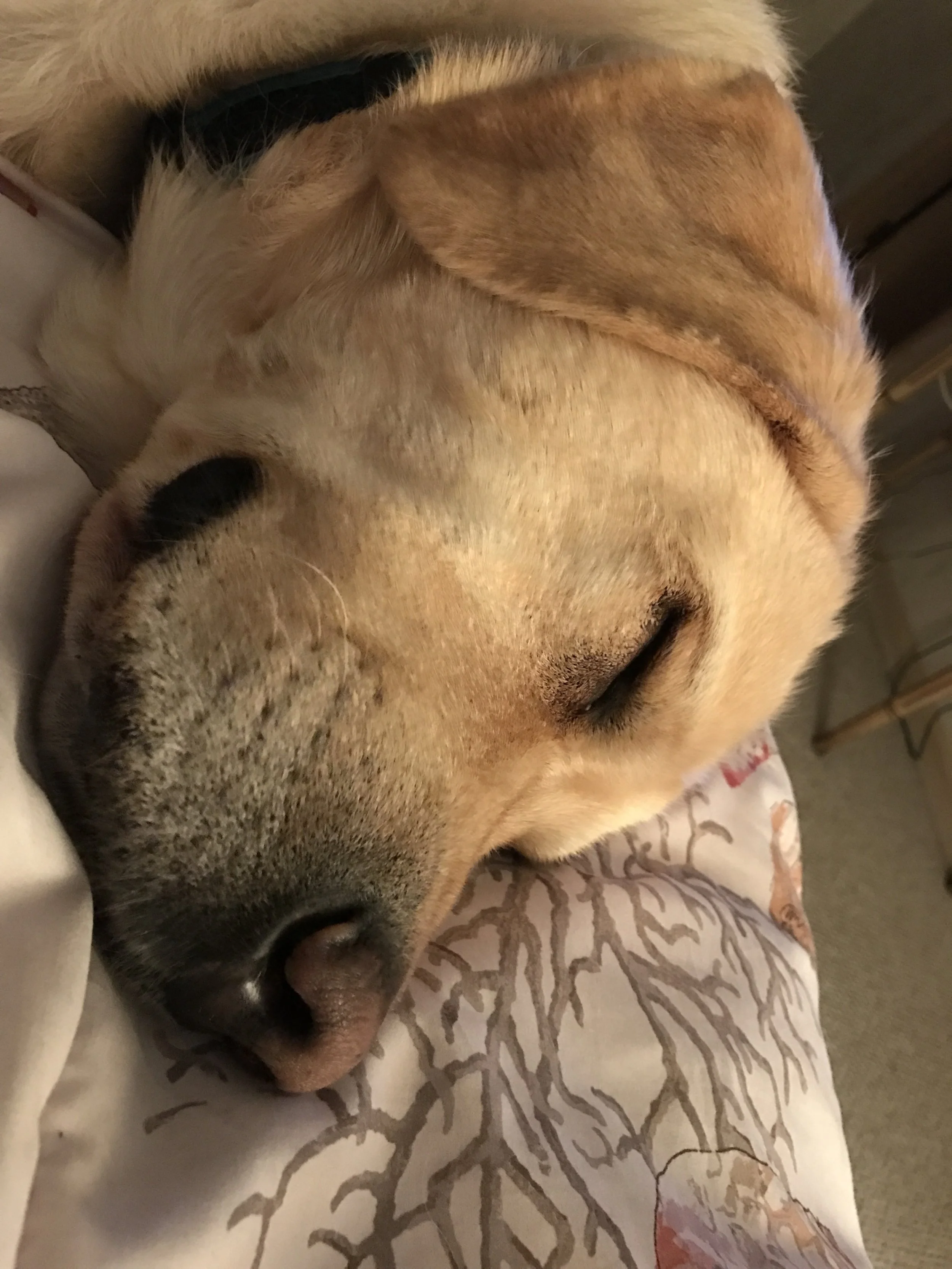 20161122_024235514_iOS.jpg