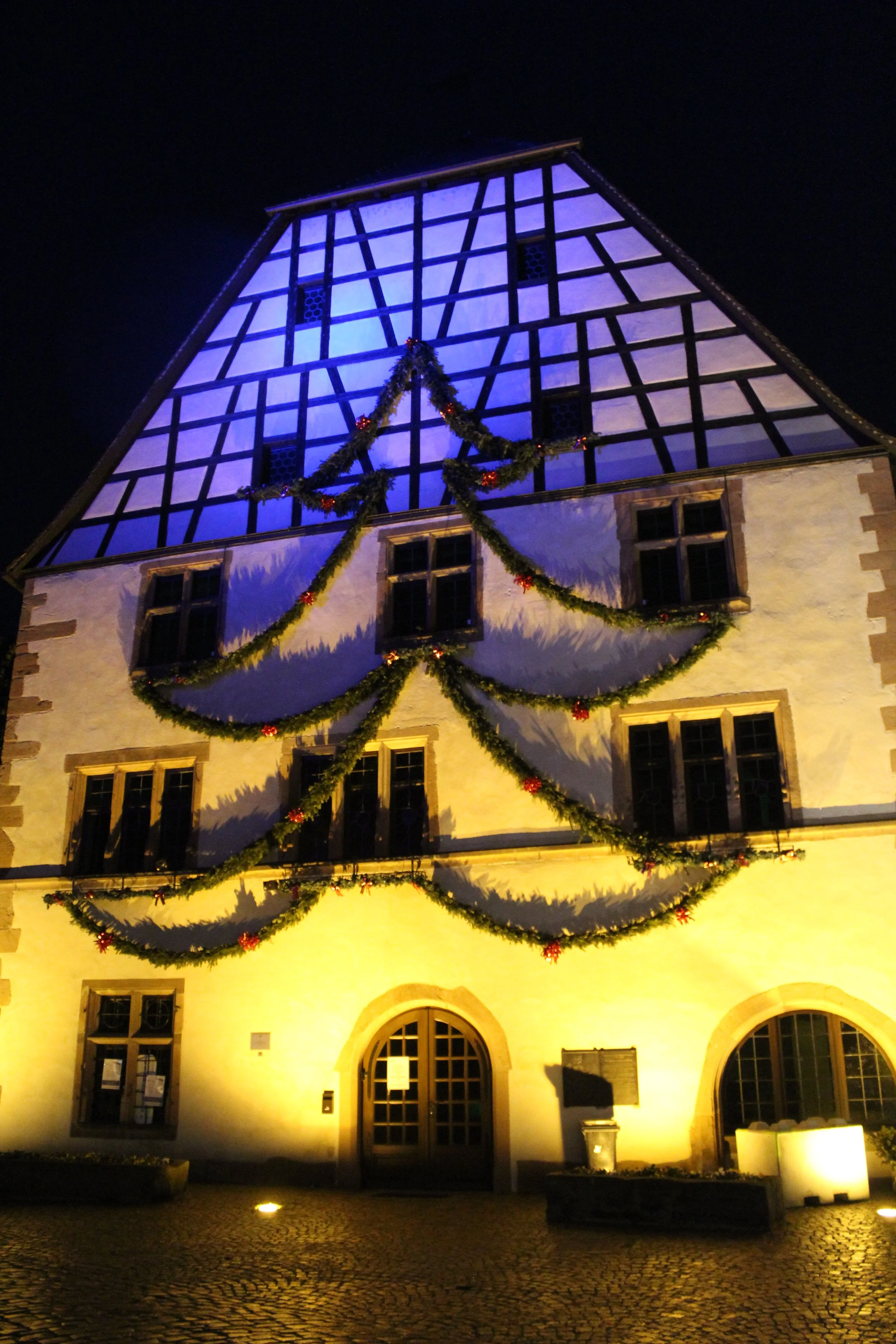IMG_2569.JPG