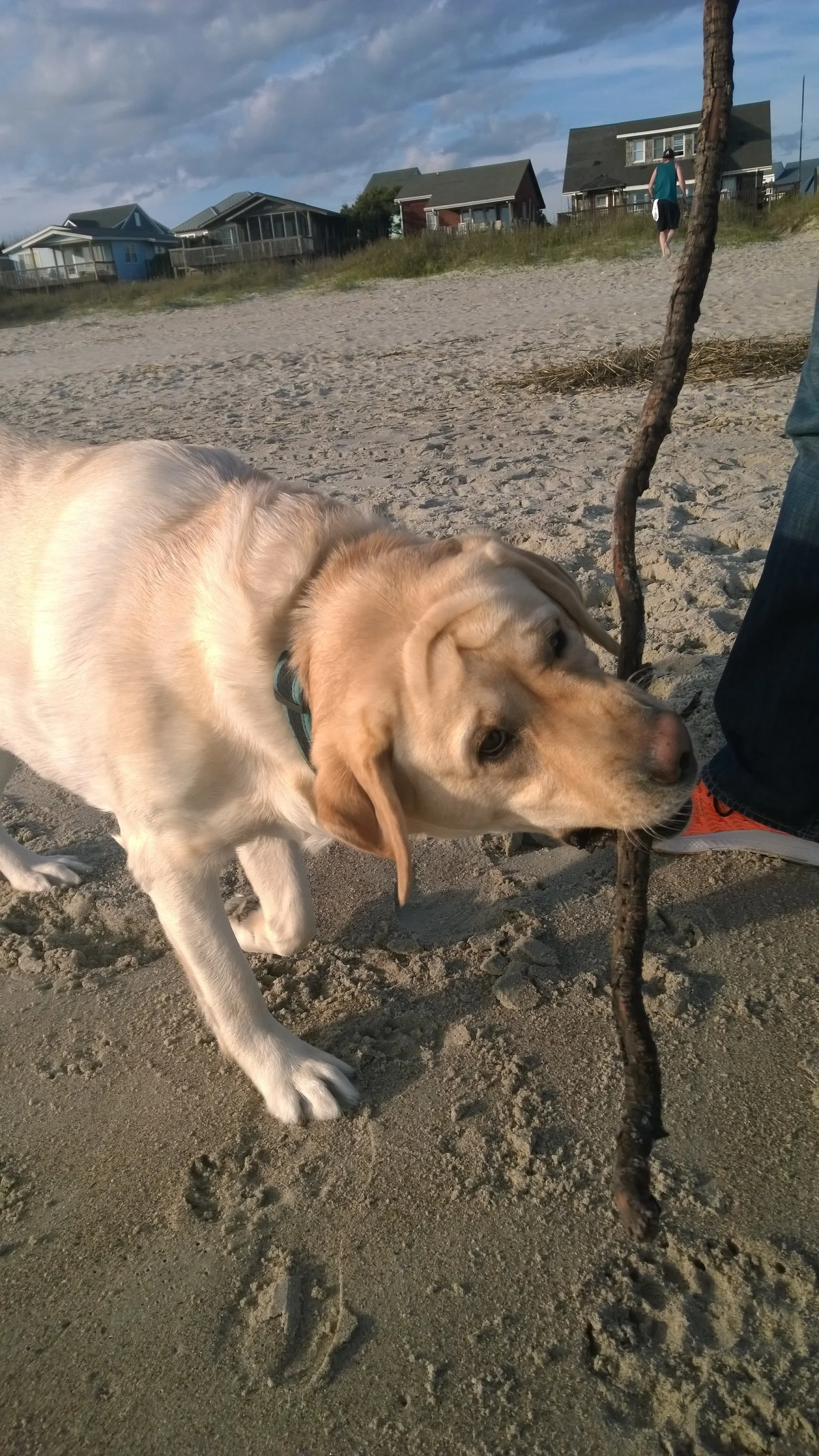 WP_20151125_017.jpg
