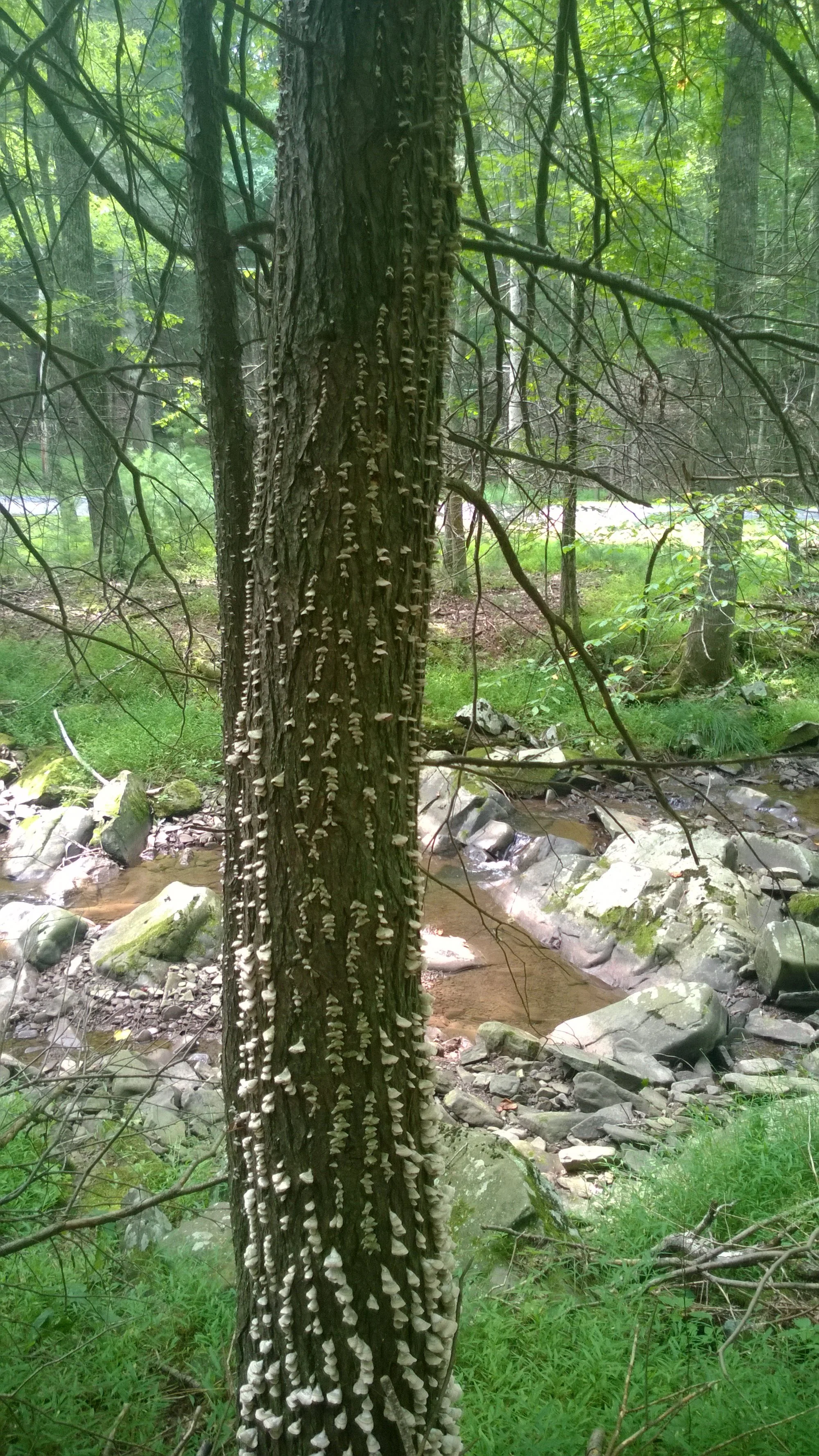WP_20140830_12_45_31_Pro.jpg