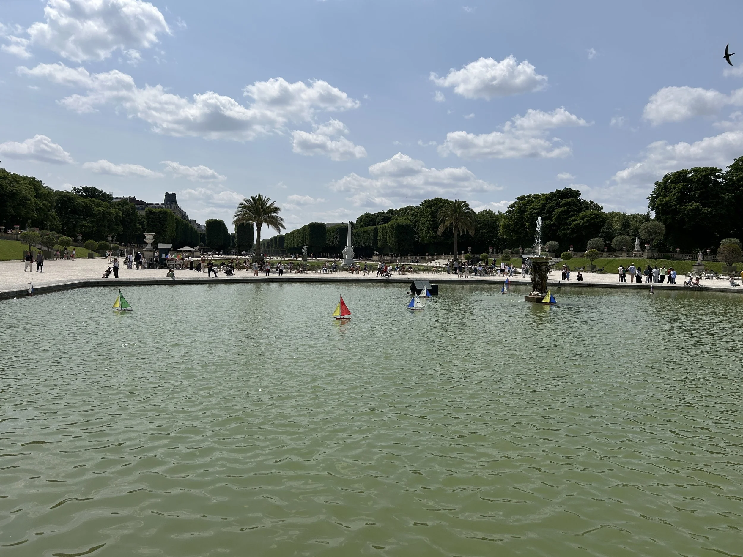 IMG_7896.JPG