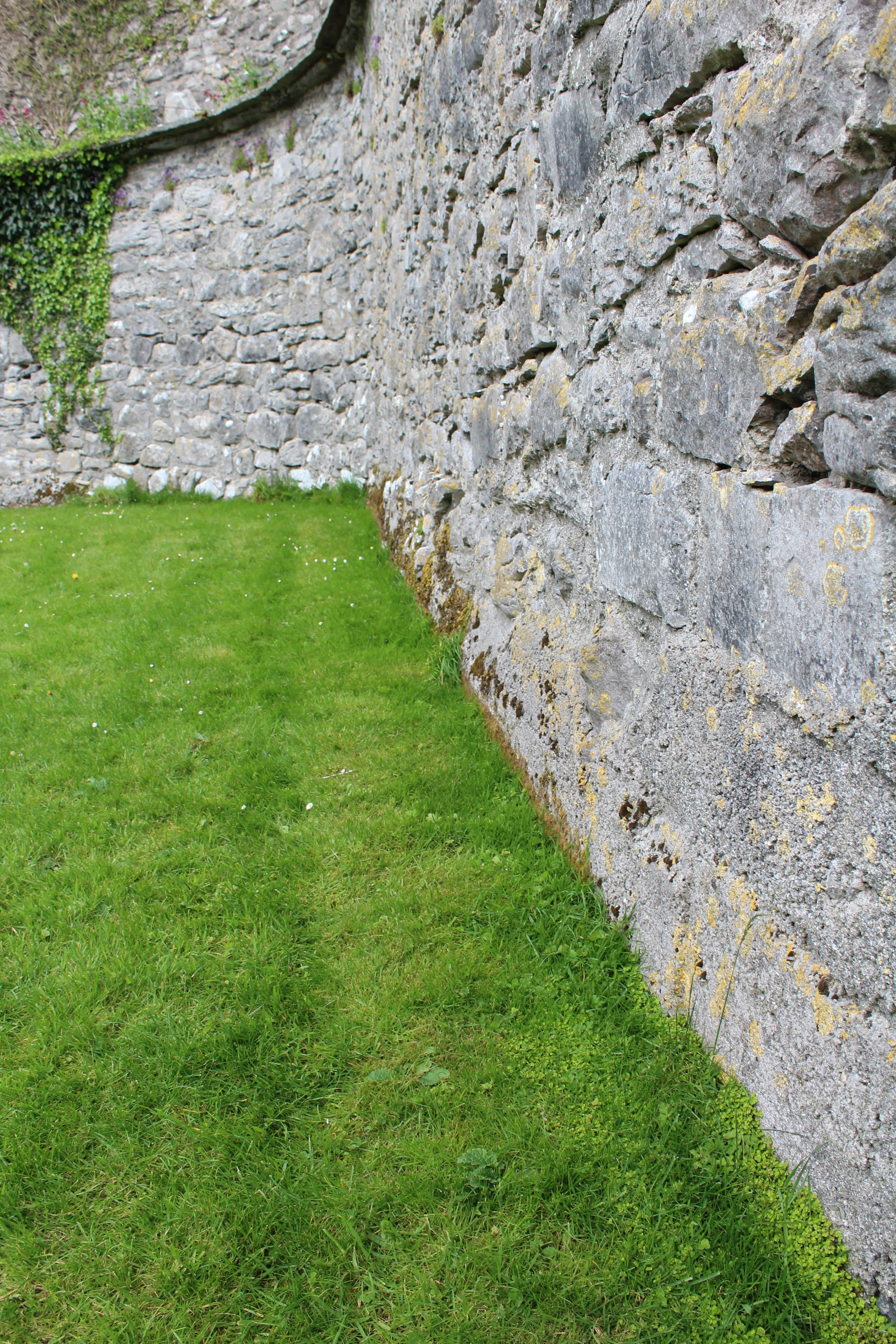 15-0516_Clare_Dunguaire Castle-4.JPG