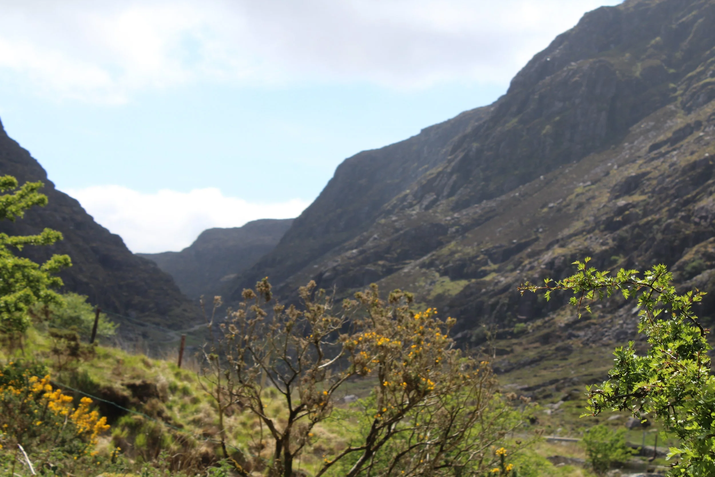 15-0519_Gap of Dunloe_44.JPG