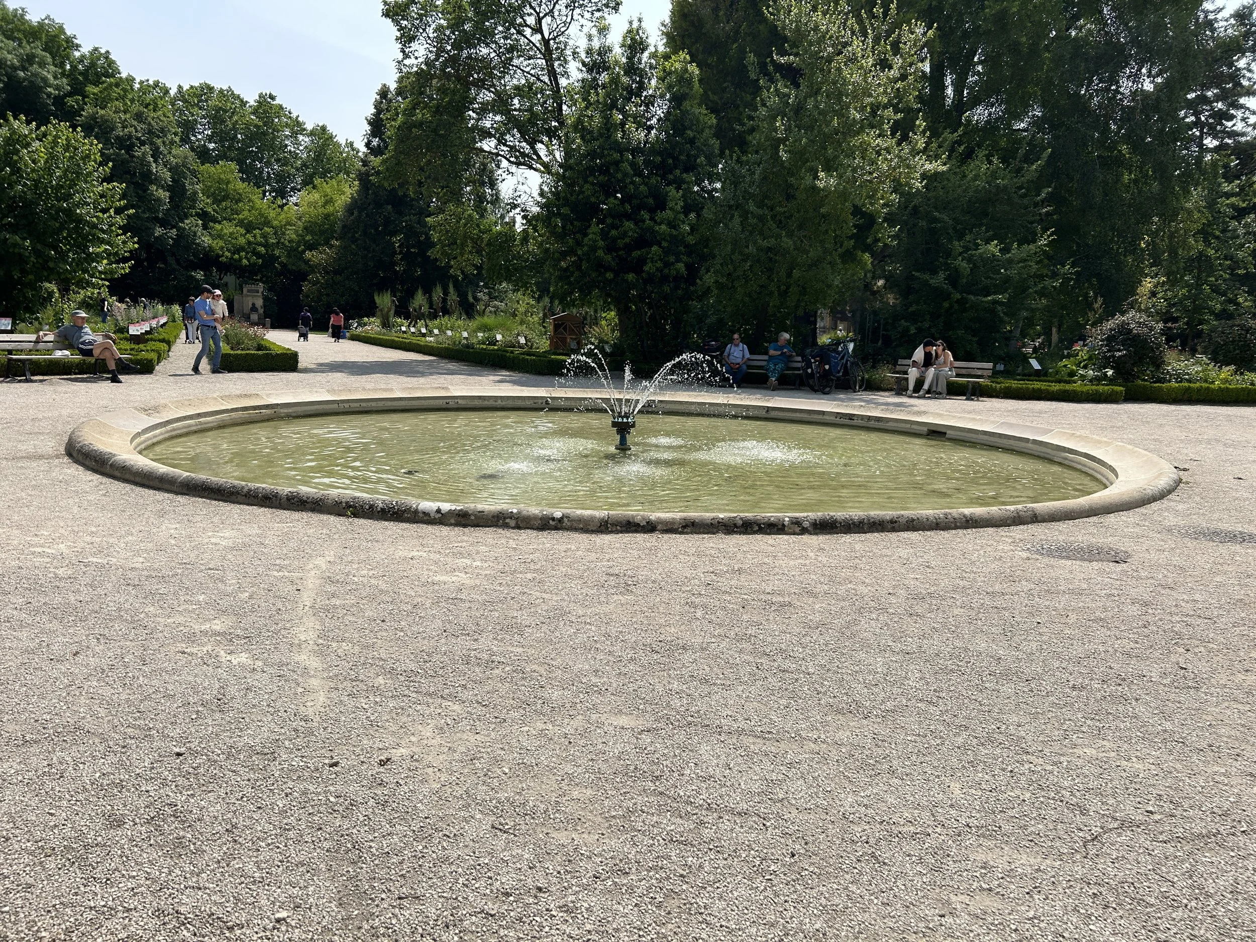 20250609_131304529_iOS.jpg
