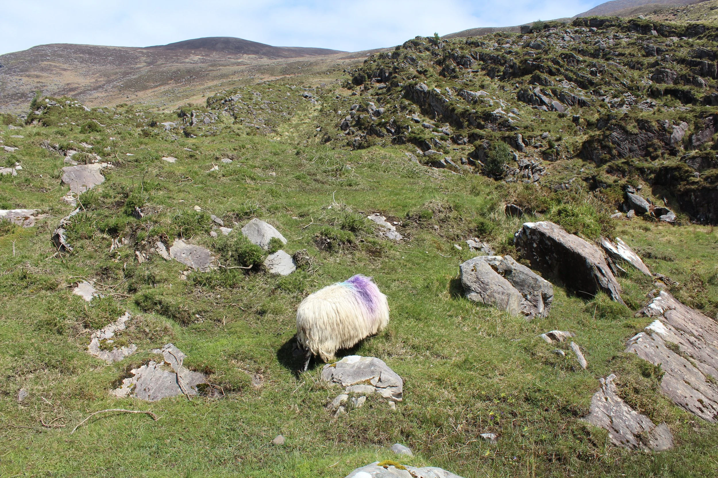 15-0519_Gap of Dunloe_37.JPG