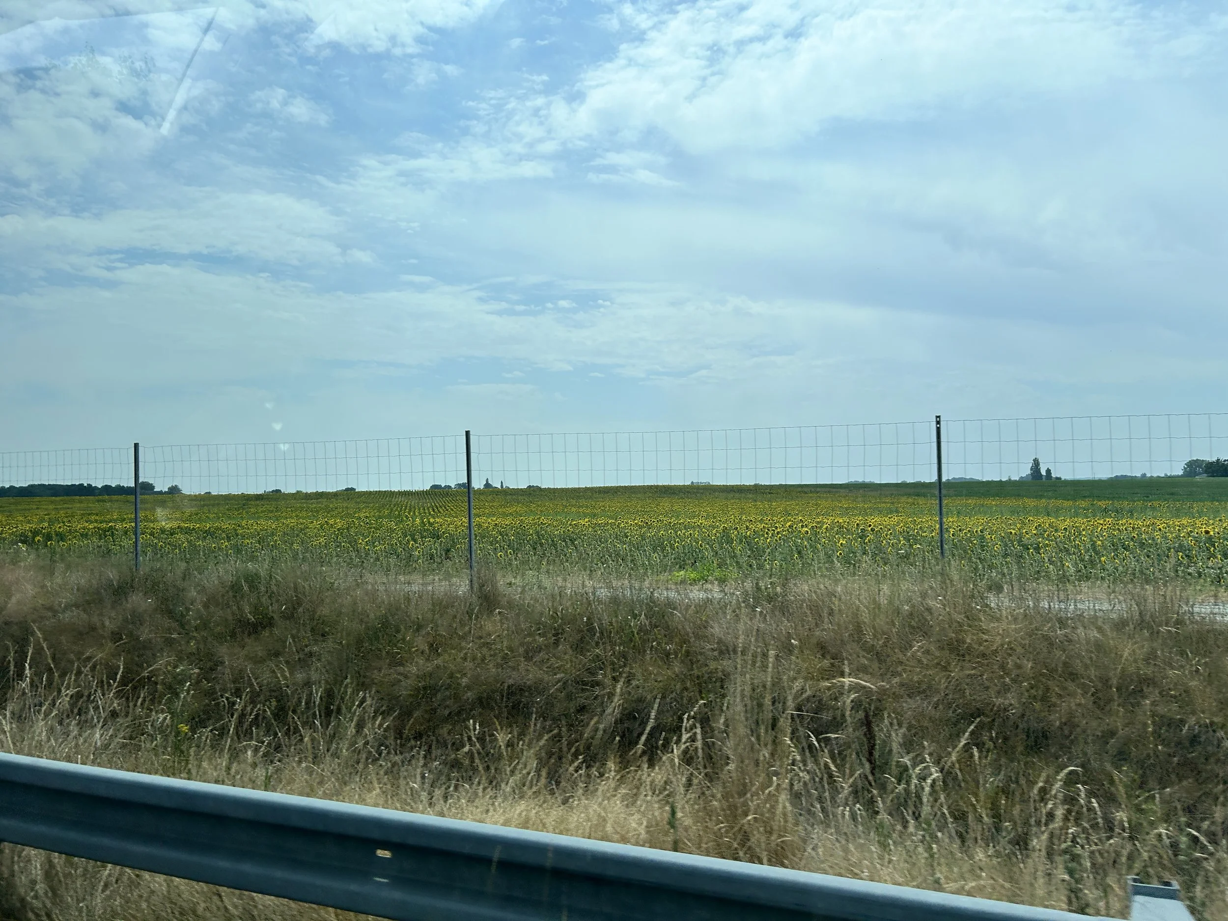 20260715_110736427_iOS.jpg