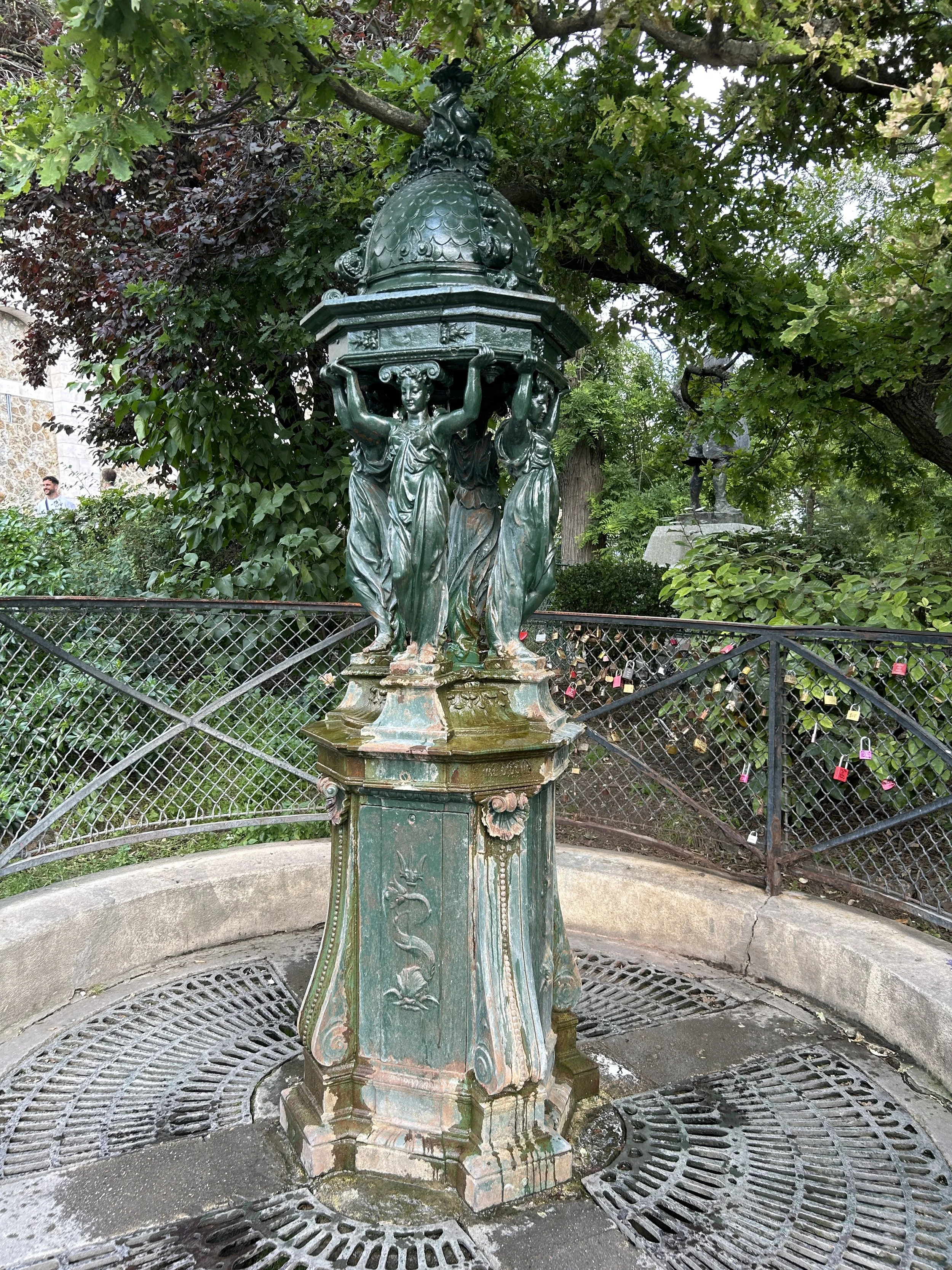 IMG_7849.JPG