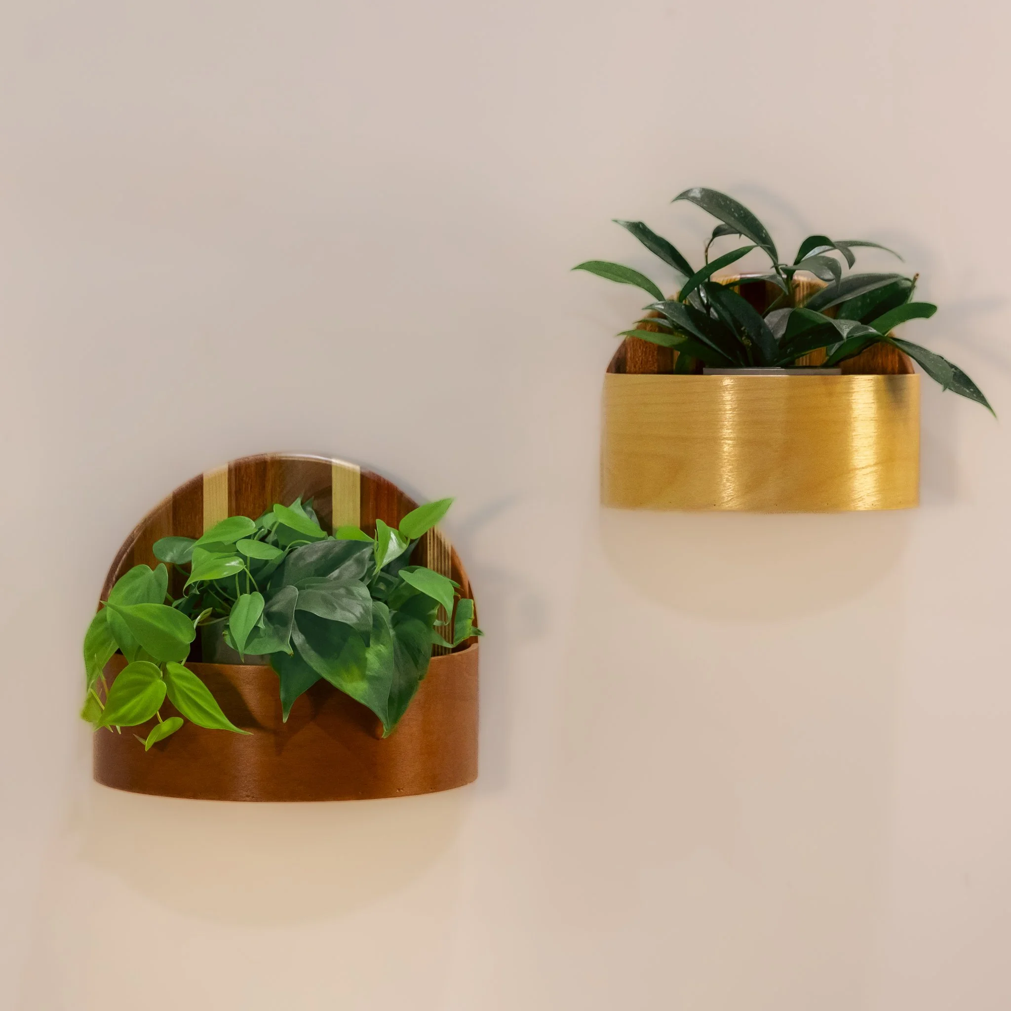 233A:B-Plant.jpg