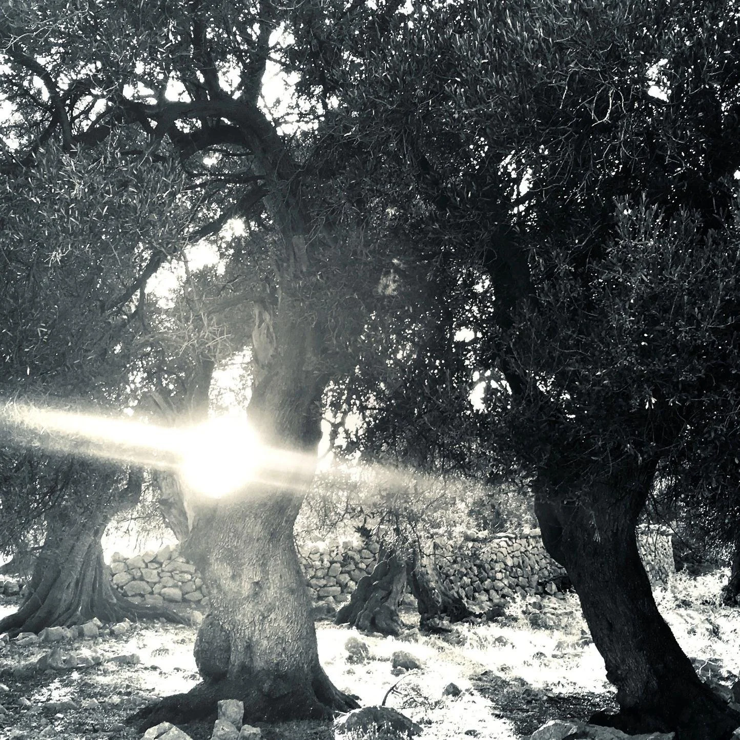 Strength and Virtues