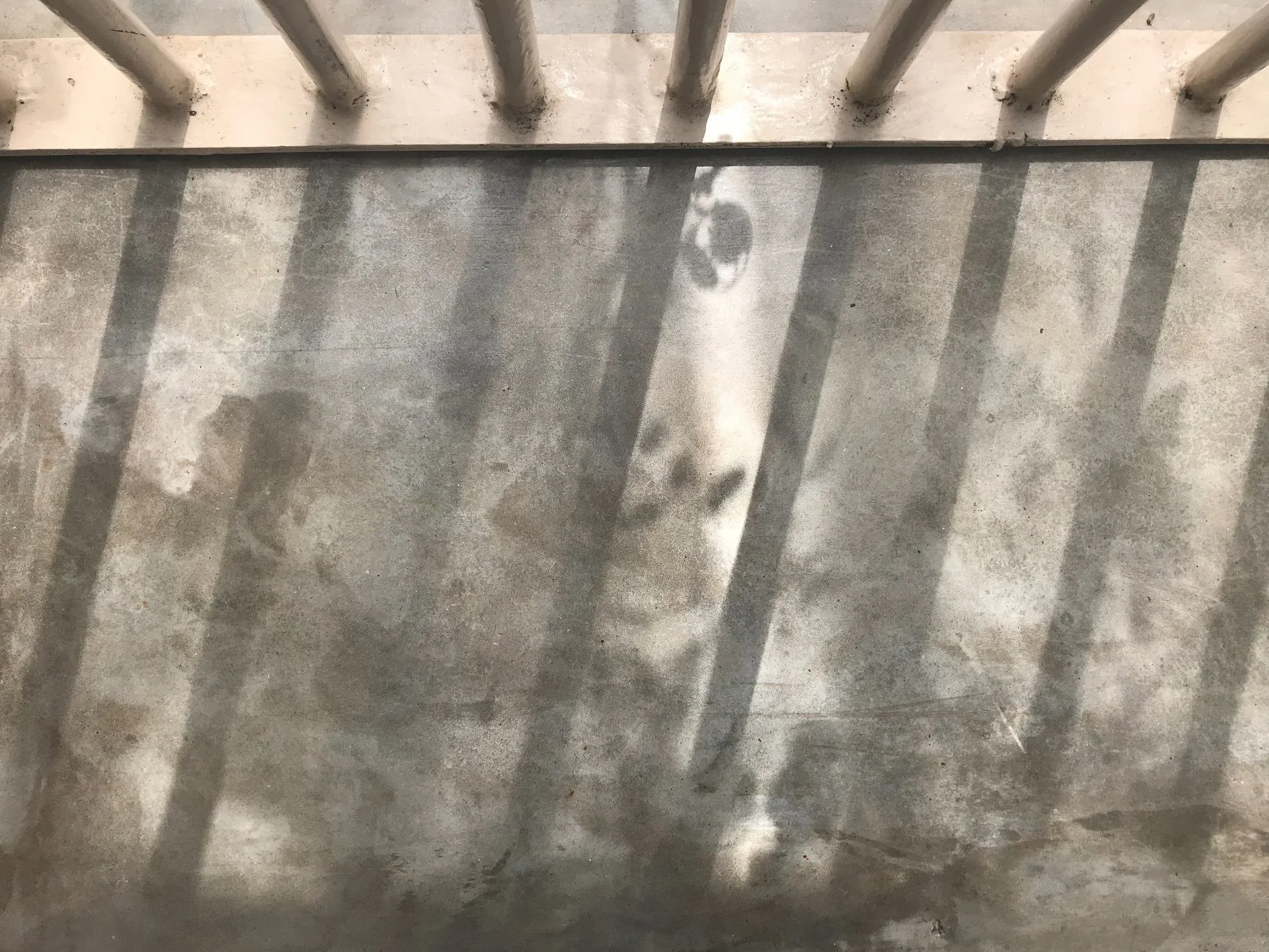 The Walls Within
