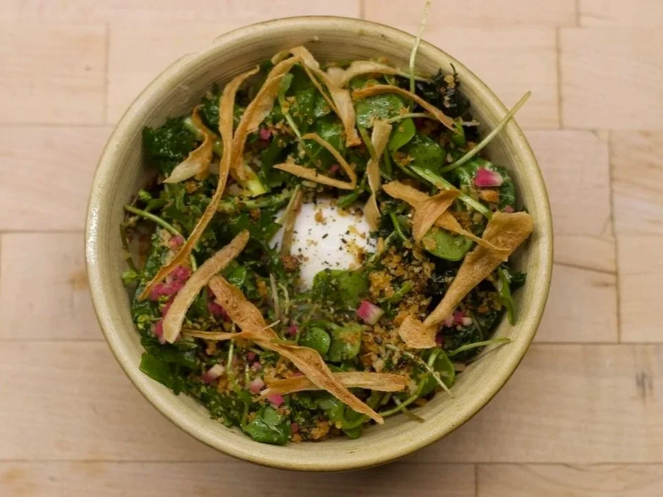 A bowl of salad with greens, pink flower petals, toasted bread crumbs, and shredded chicken, topped with a poached egg.