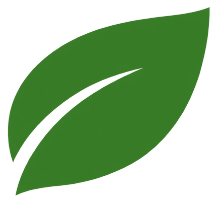 A green leaf with a central vein.