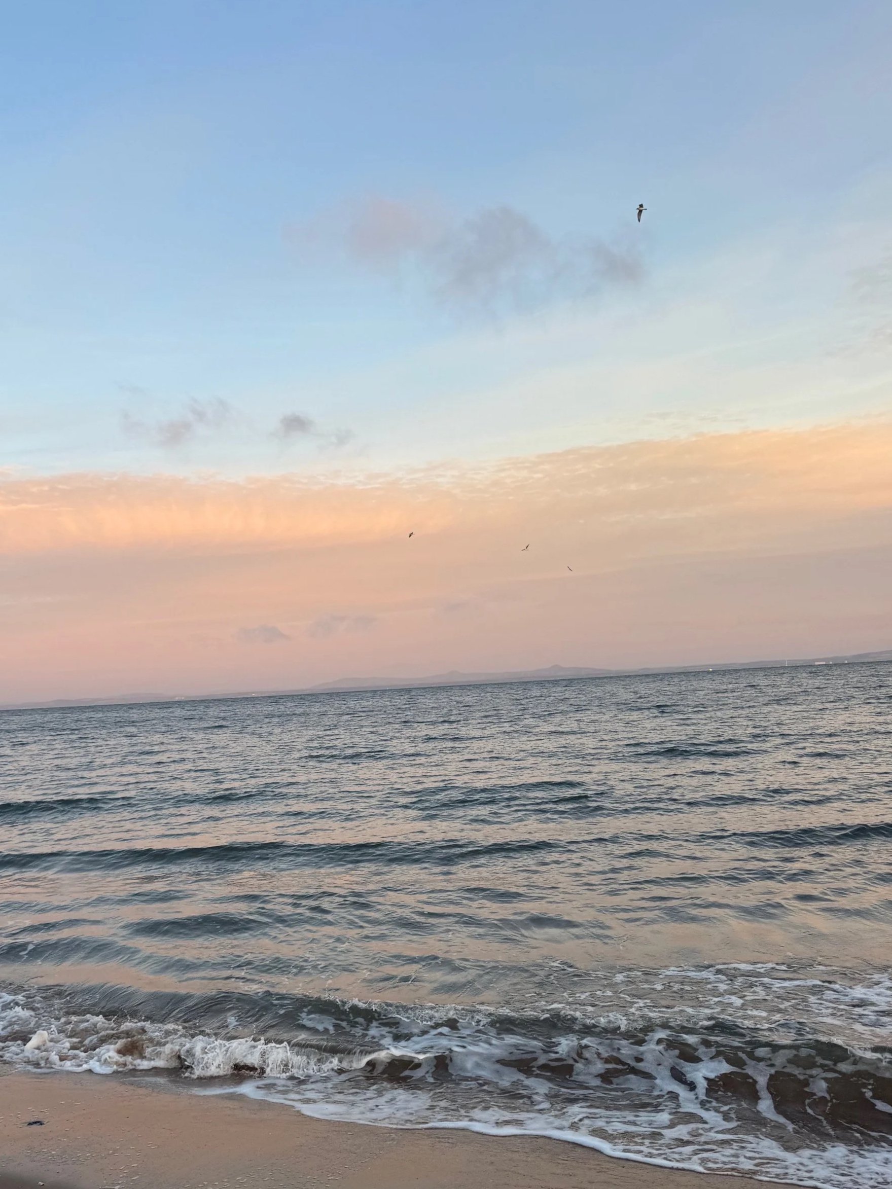 A view of the ocean with gentle waves lapping onto a sandy beach, under a pastel-colored sky with a few scattered clouds and seagulls flying overhead.