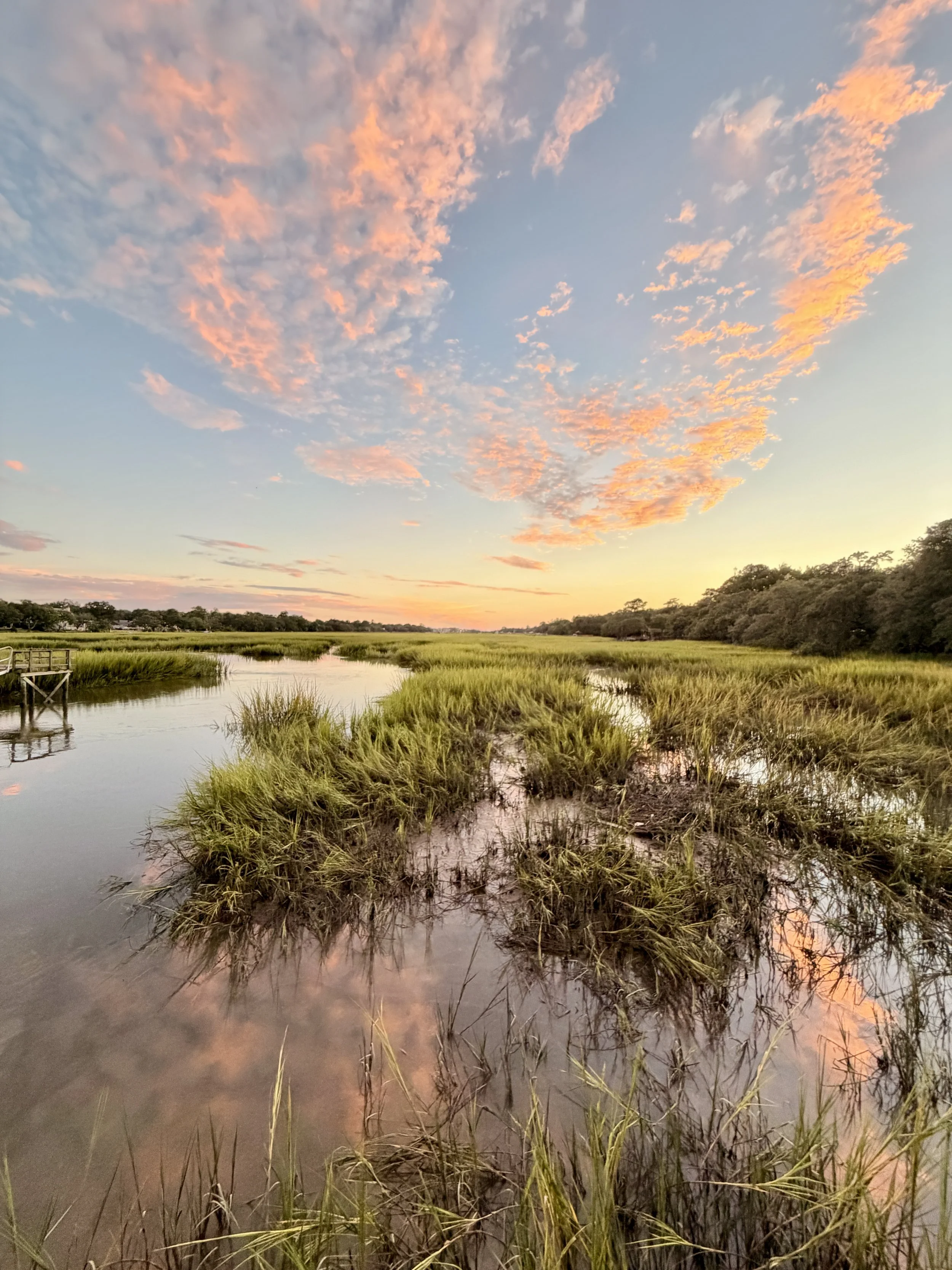 Sunset over a marsh with water, green grasses, and trees, with pink and orange clouds in the sky.