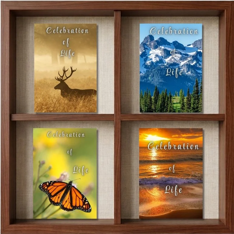 Four posters titled "Celebration of Life" in a wooden display shelf. Top left: a deer in a foggy field; top right: snow-capped mountains and green trees; bottom left: a butterfly on a yellow flower; bottom right: a beach sunset over the ocean.