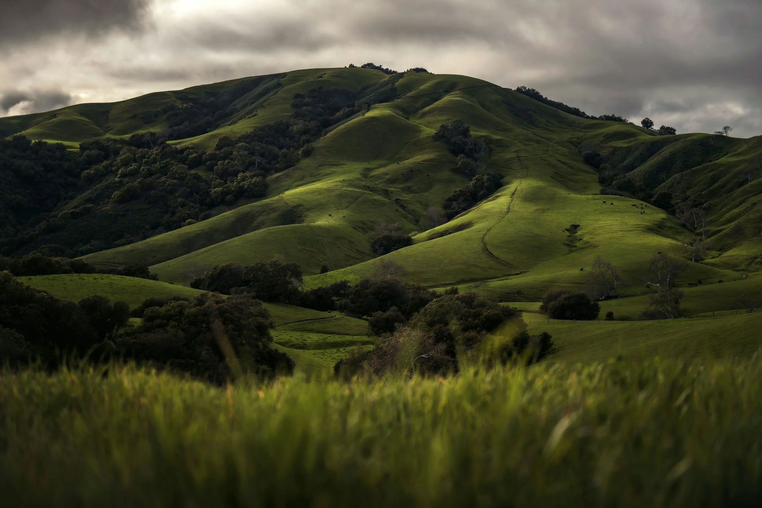 Green rolling hills with scattered trees, dark clouds overhead, and some sunlight illuminating parts of the landscape.