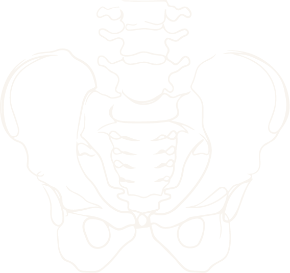 Outline drawing of a human pelvis, showing the hip bones, sacrum, and lower lumbar vertebrae.