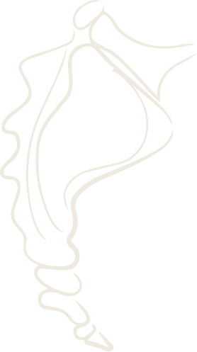 Line drawing of a human nose in profile view.