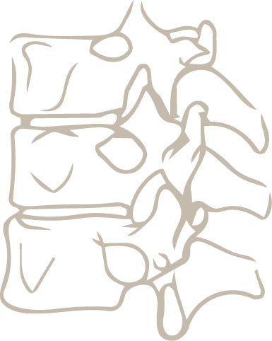 Line drawing of human vertebrae from a side view.