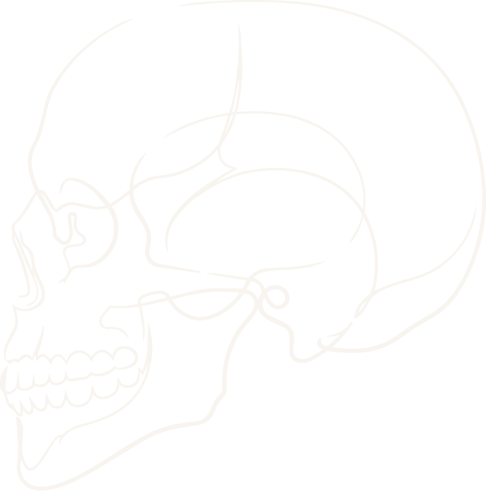 Line drawing of a human skull in profile view on a black background.
